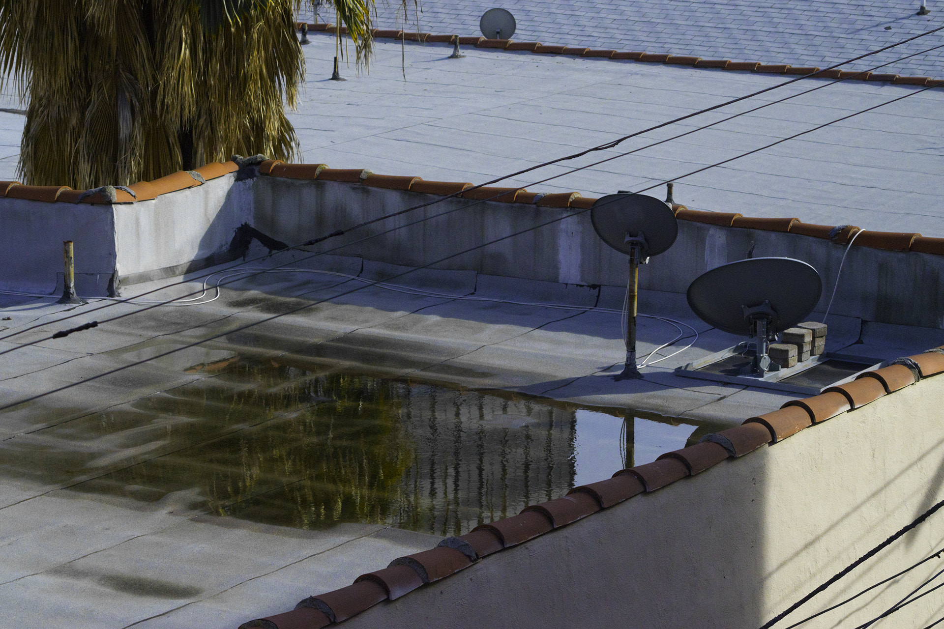 AF Zoom-Nikkor 35-70mm f/2.8 sample photo. Rooftop photography