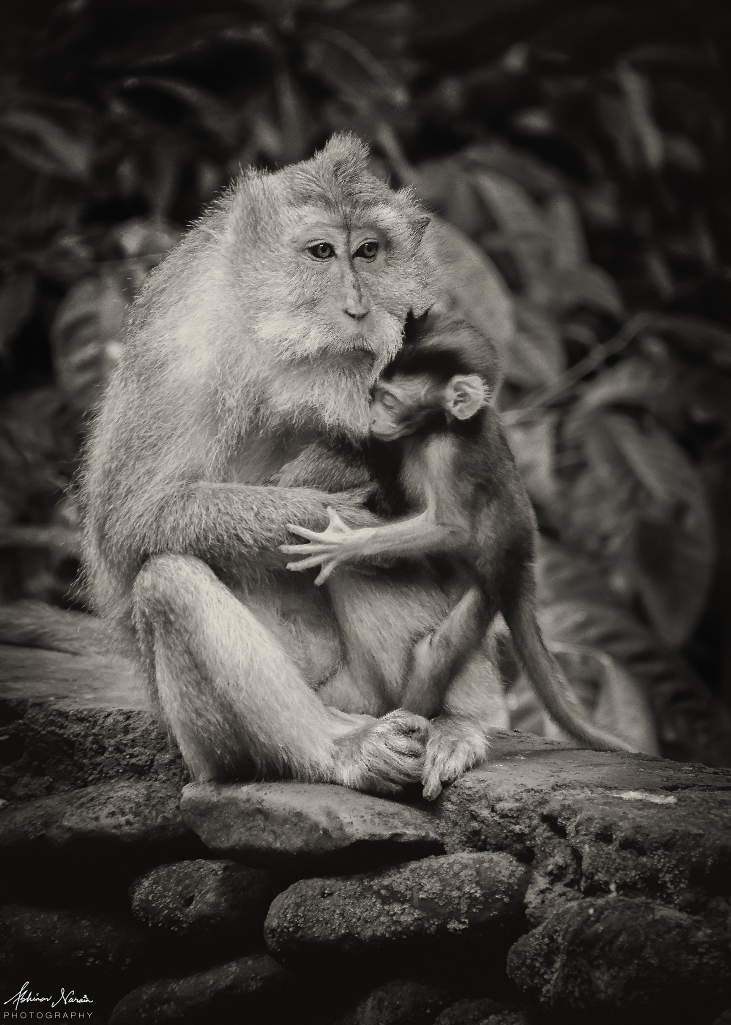 Sigma 18-250mm F3.5-6.3 DC OS HSM sample photo. In mother we trust photography