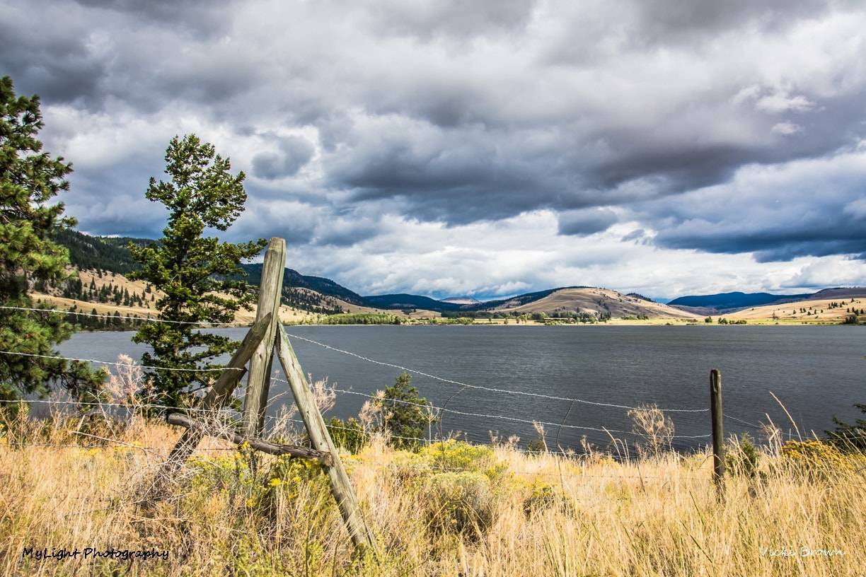 Nikon D7200 sample photo. A fence runs through it photography