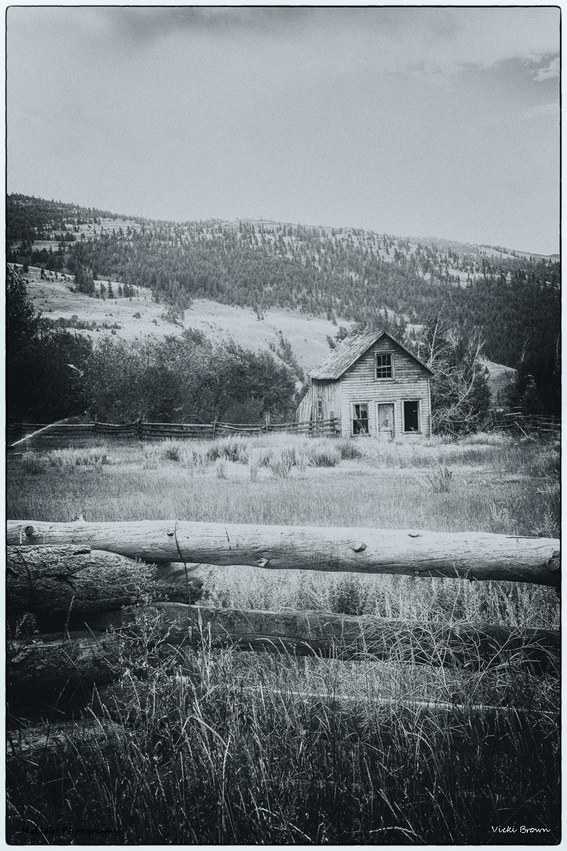 Nikon D7200 sample photo. The homestead photography