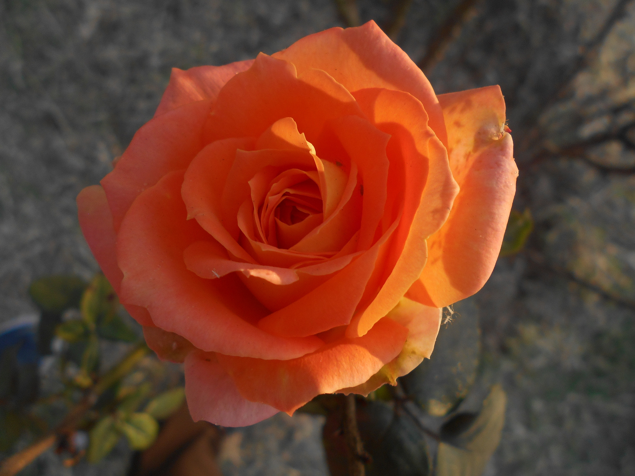 Nikon COOLPIX S2800 sample photo. Carl <3 photography