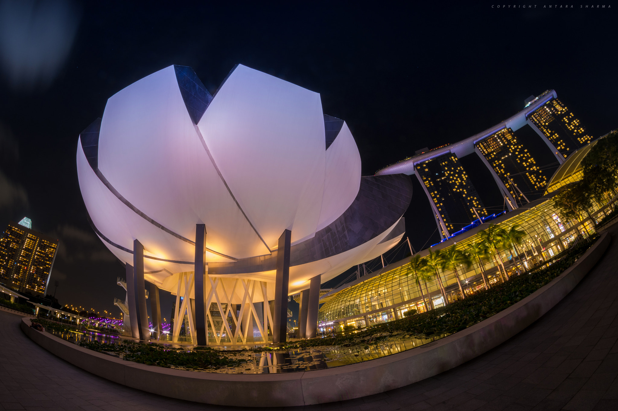 Nikon D500 + Samyang 8mm F3.5 Aspherical IF MC Fisheye sample photo. Singapore art and science museum photography