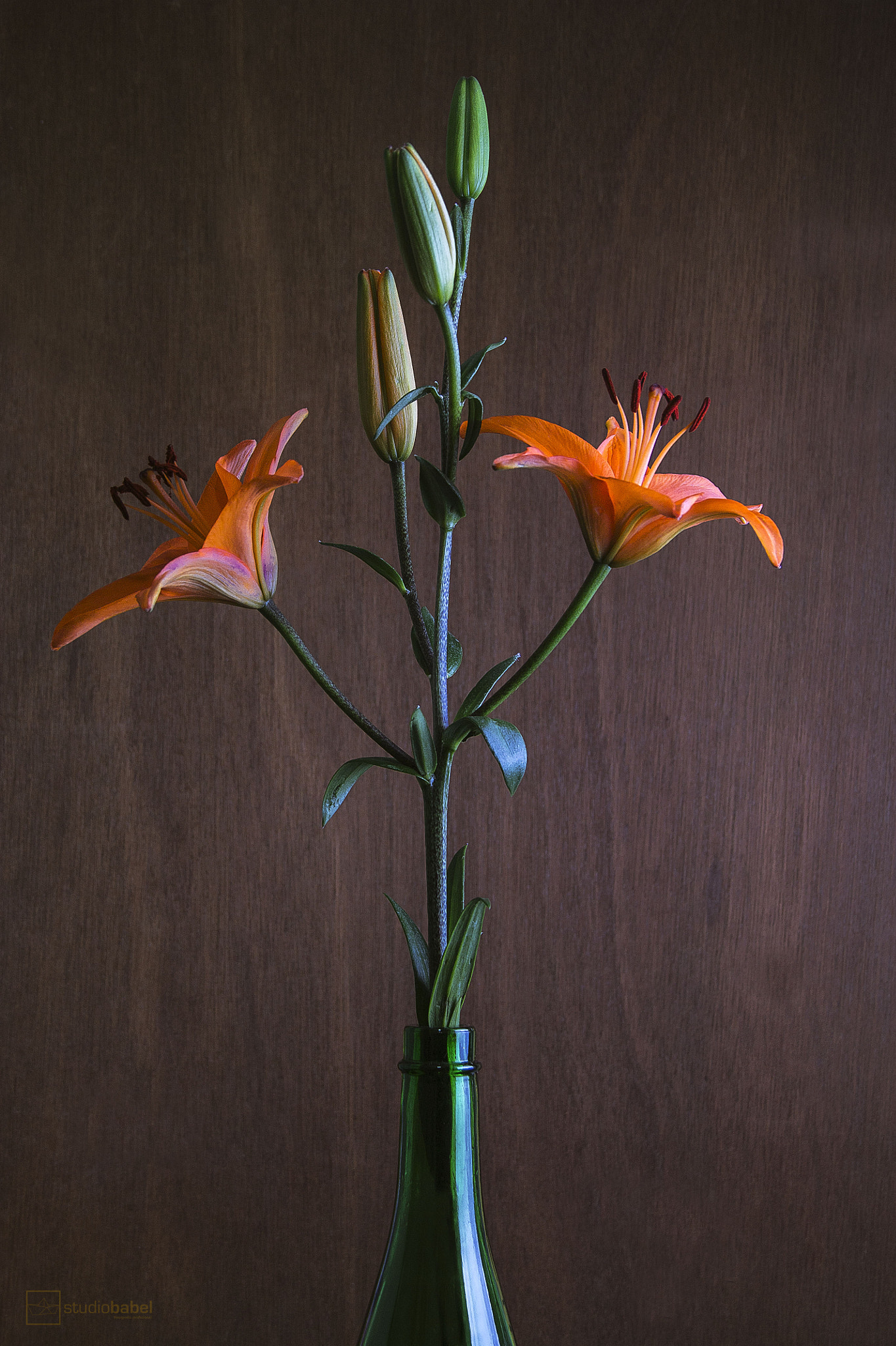 Canon EOS 1100D (EOS Rebel T3 / EOS Kiss X50) sample photo. Lilys photography
