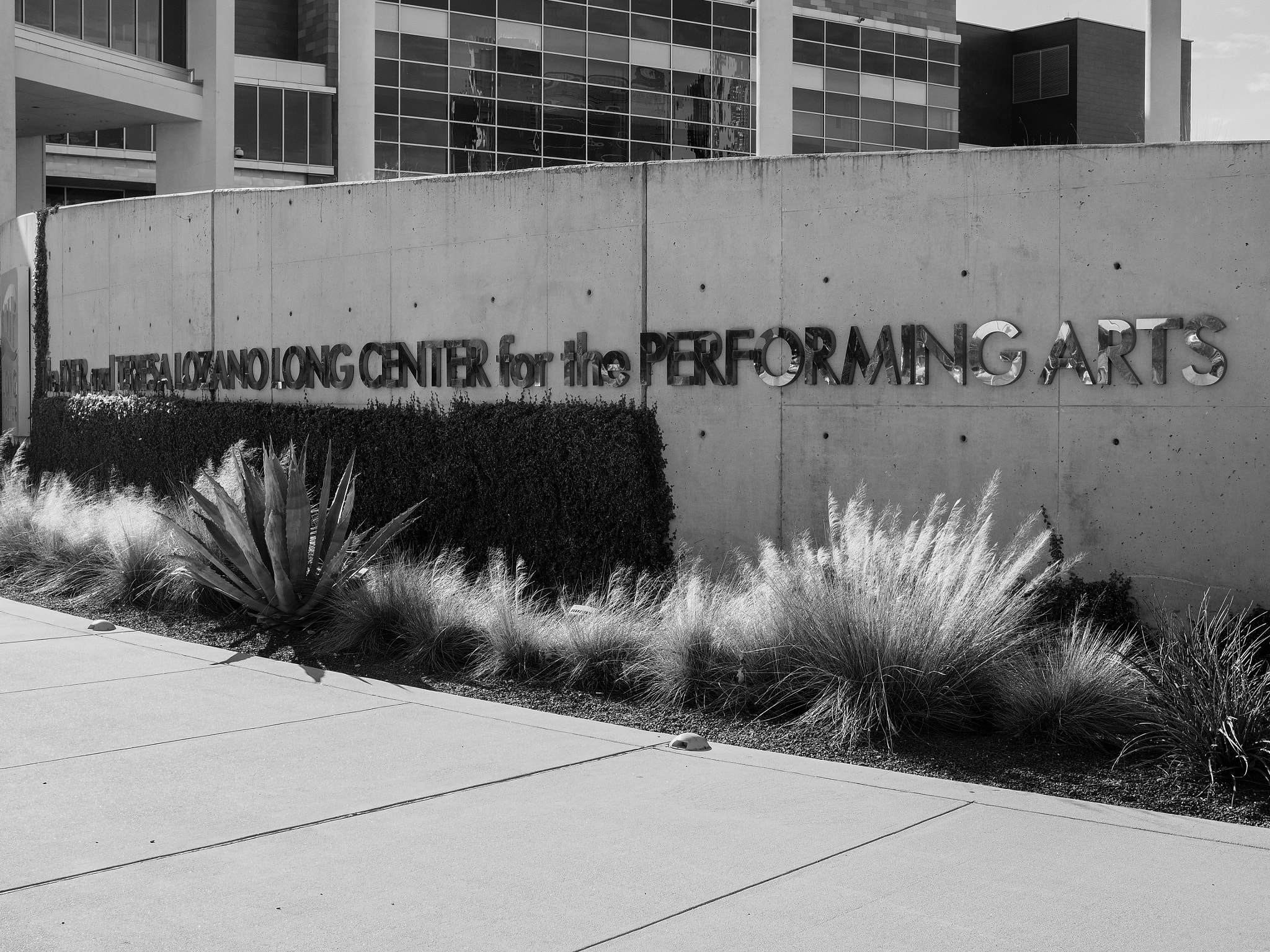 Olympus OM-D E-M10 II + Olympus M.Zuiko Digital 25mm F1.8 sample photo. Palmer auditorium photography