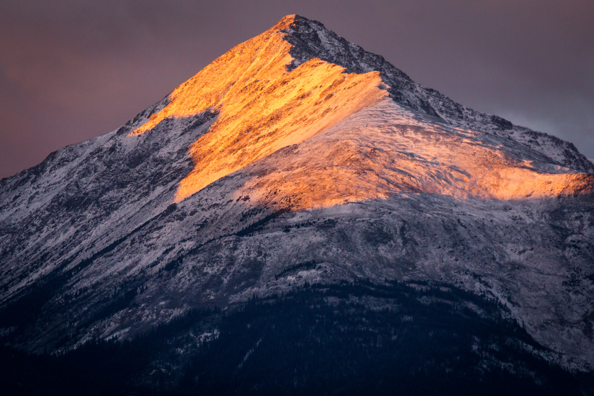 Canon EF 70-300mm F4-5.6L IS USM sample photo. Morning light photography