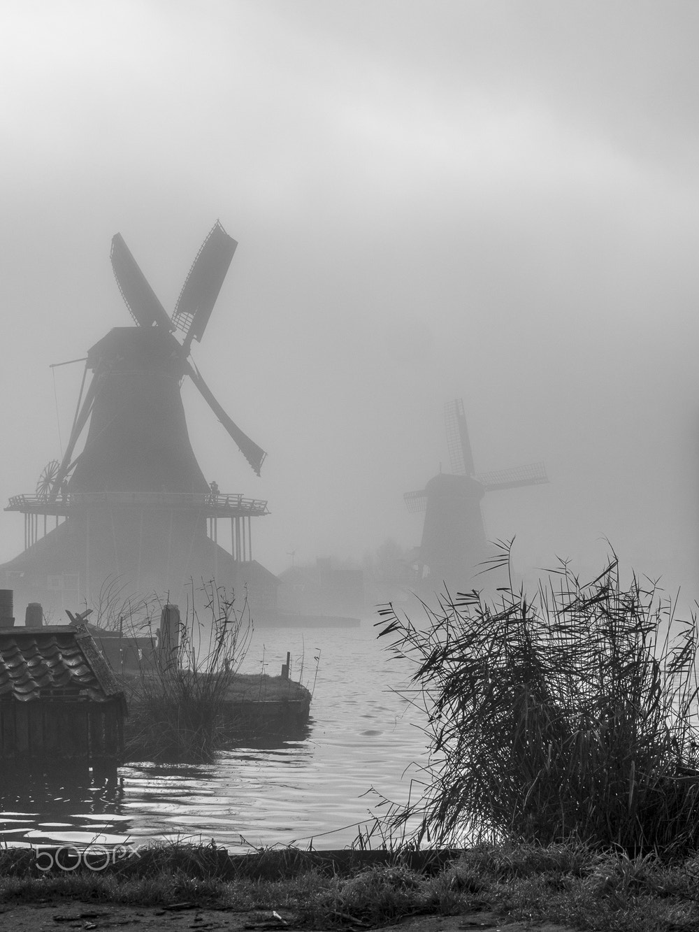 Olympus OM-D E-M5 II sample photo. Mist photography