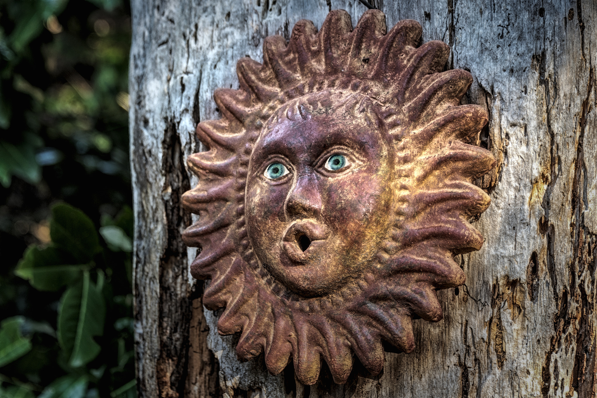 Nikon D5 sample photo. Awakening photography