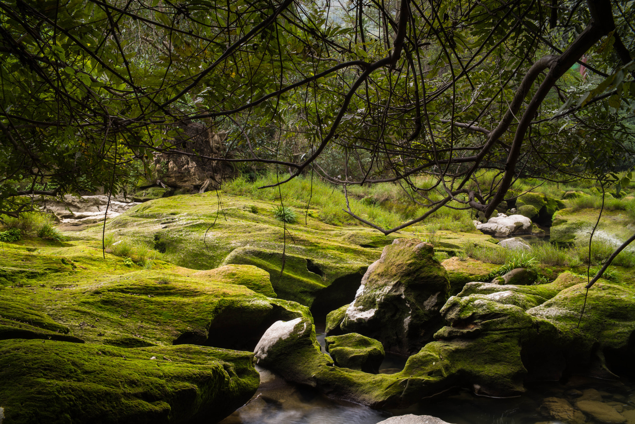 Elmarit-M 1:2.8/21 sample photo. Guizhou images photography
