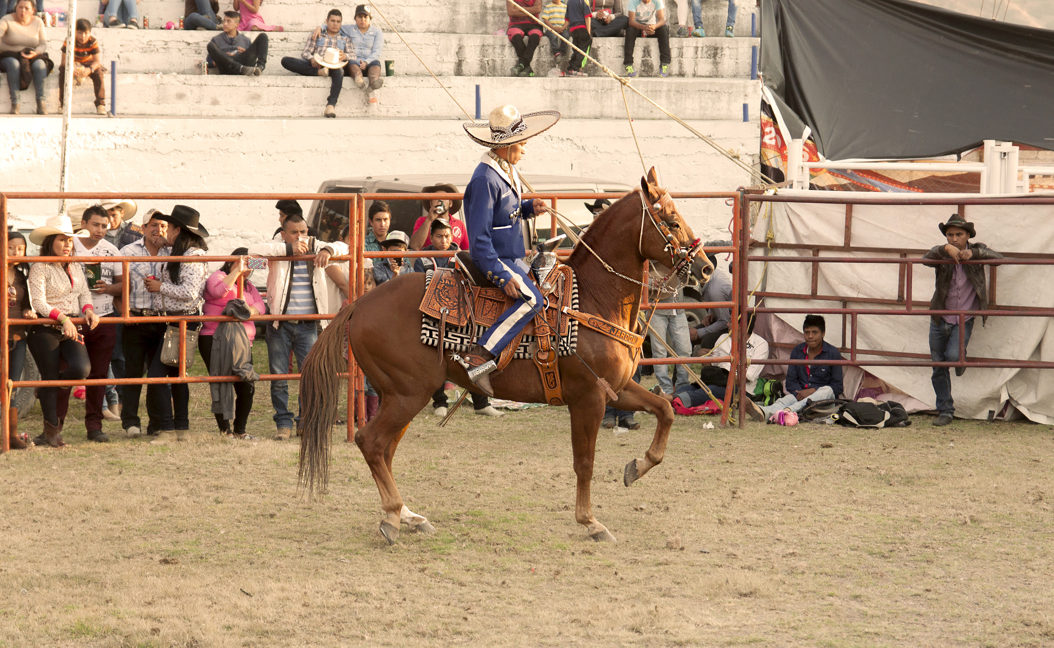 Canon EF-S 17-55mm F2.8 IS USM sample photo. Charro photography