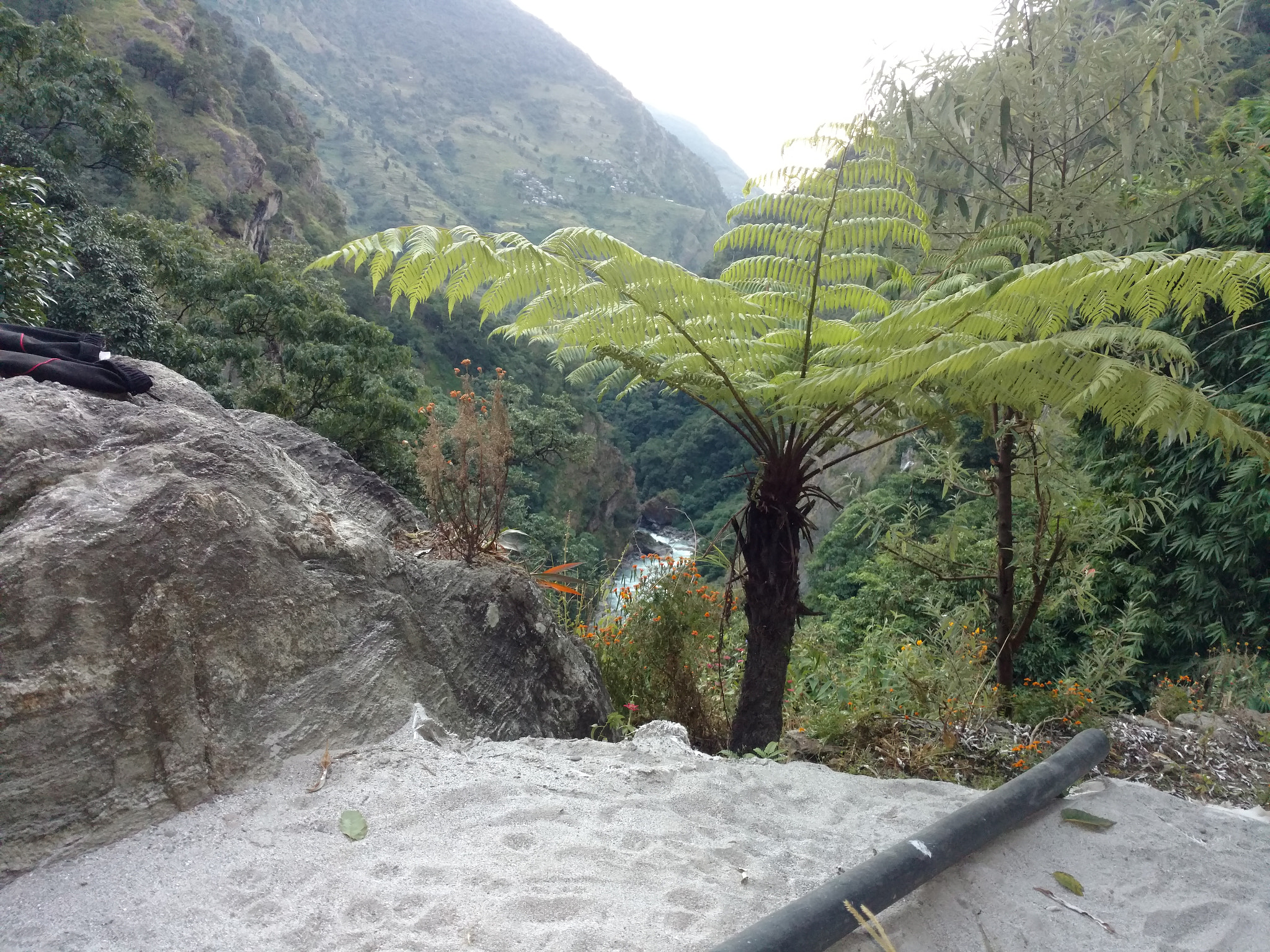 Motorola Moto X Style sample photo
