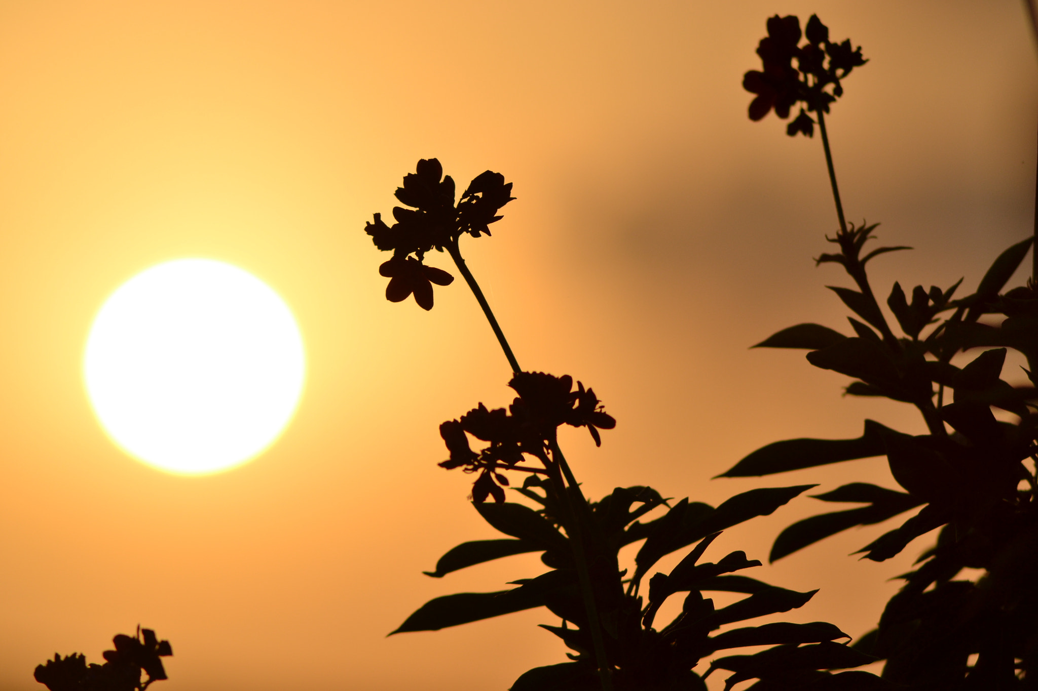 Nikon AF Nikkor 70-300mm F4-5.6G sample photo. Sunrise photography