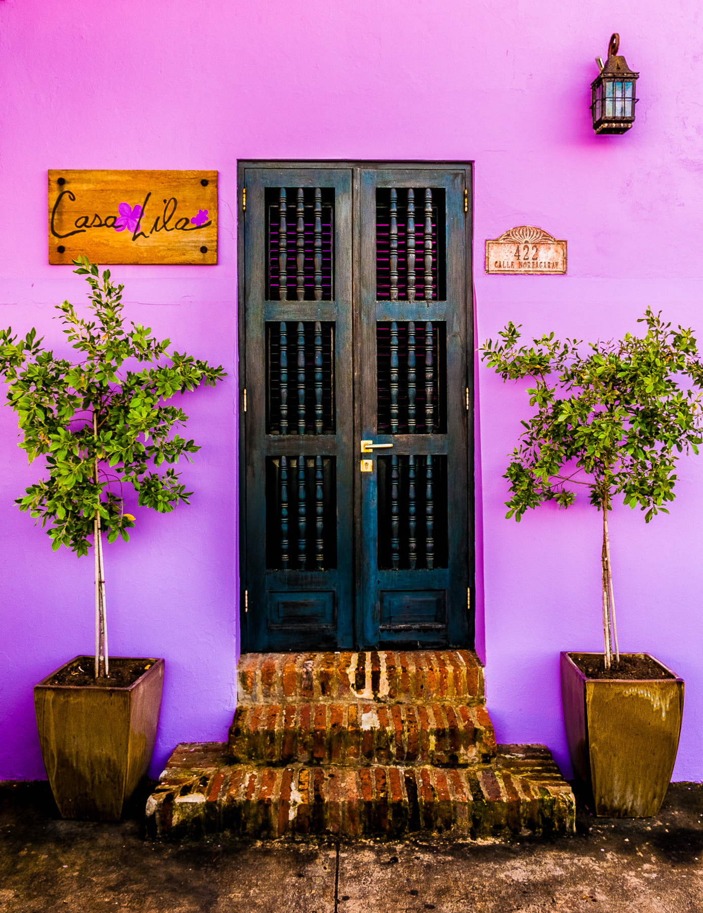 Nikon D300S sample photo. San juan - doors photography