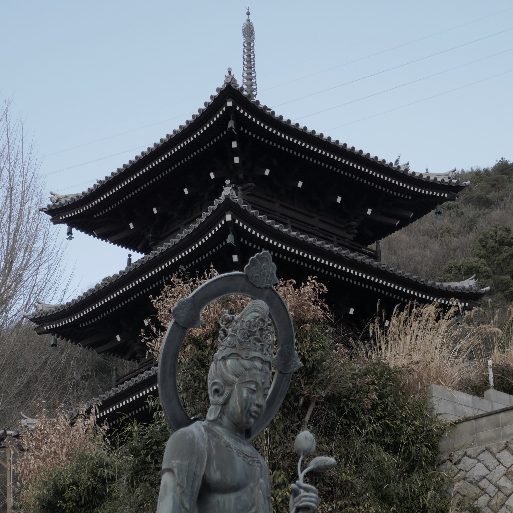 Panasonic DMC-TX1 sample photo. 三重塔 pagoda photography