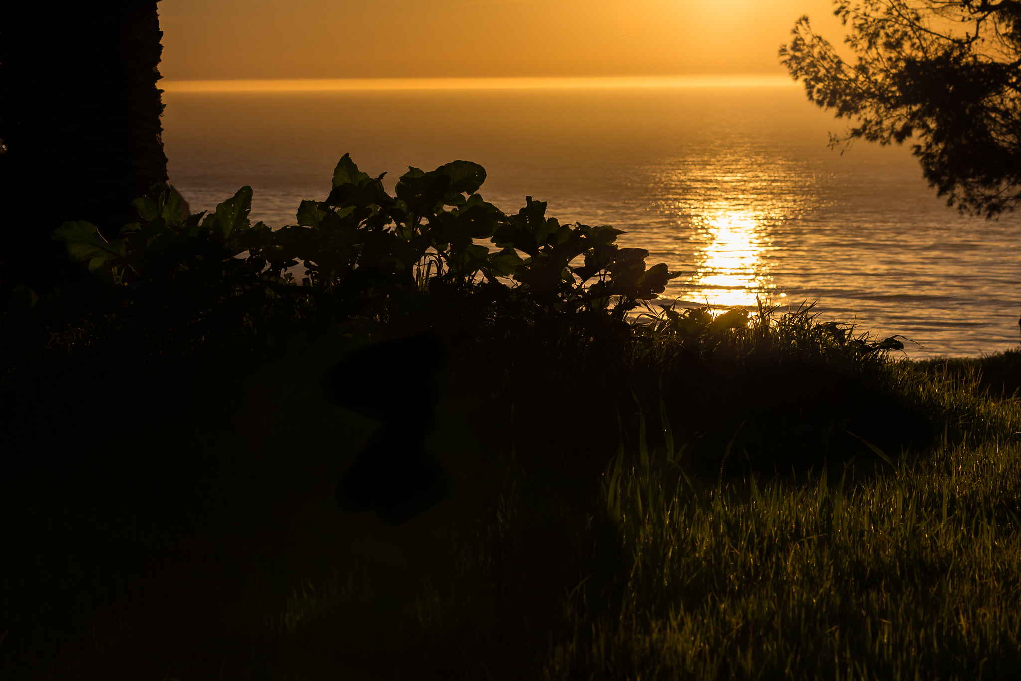 Canon EF 70-300mm F4-5.6L IS USM sample photo. Golden water photography