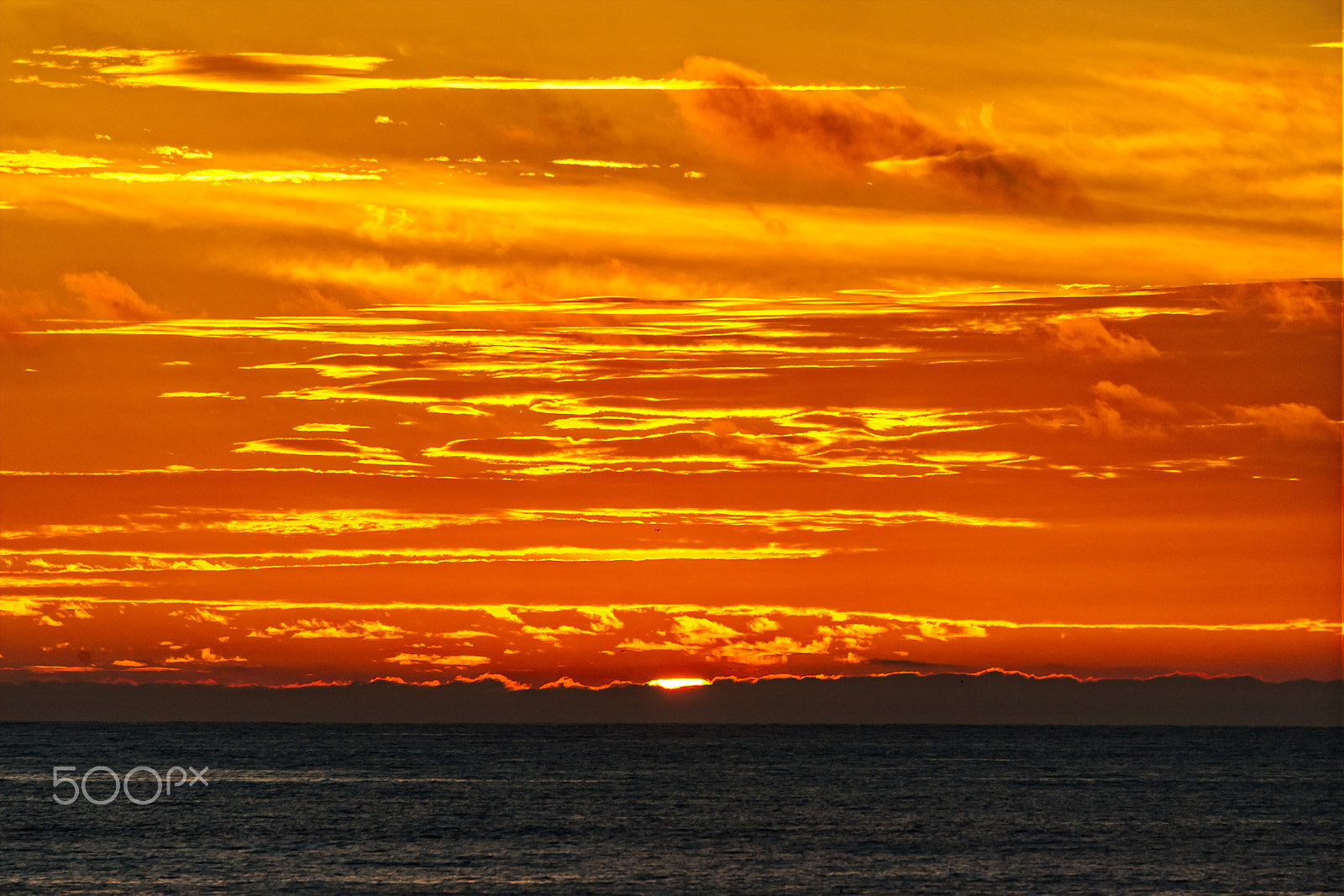 Nikon D3S sample photo. Sunset in oceanside - february 16, 2017 photography