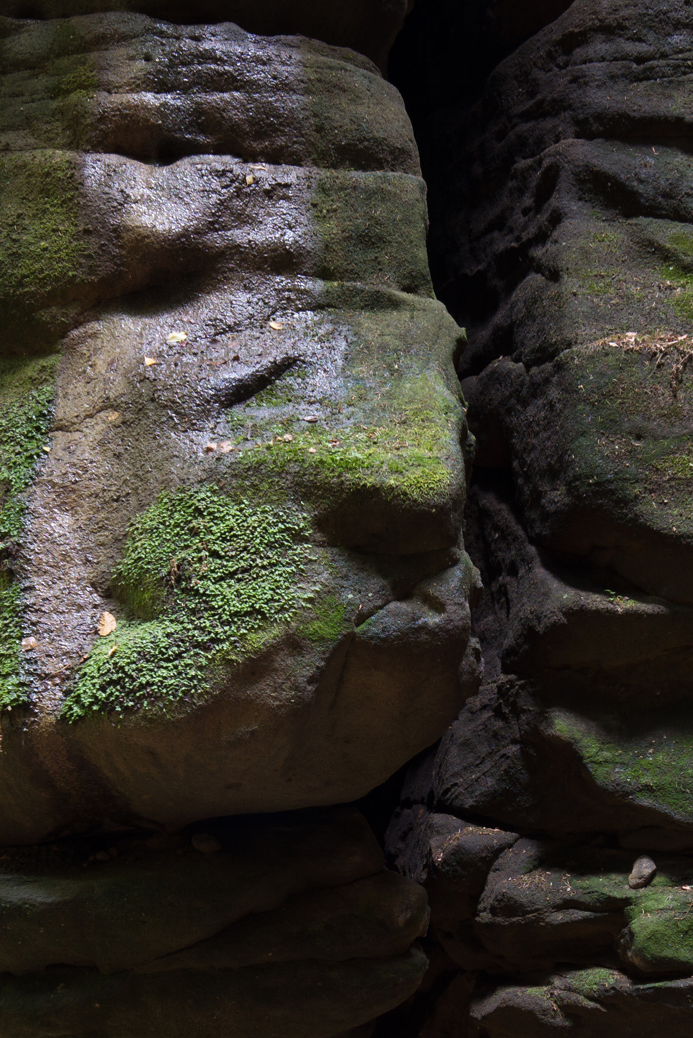 Leica Tri-Elmar-M 16-18-21mm F4 ASPH sample photo. A face in the rocks of uttewalde canyon photography