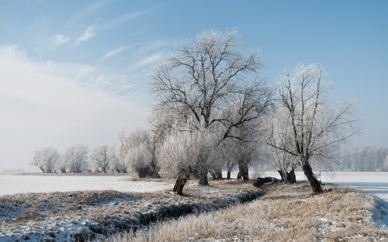 Pentax smc DA 18-55mm F3.5-5.6 AL WR sample photo. Somewhere in poland photography