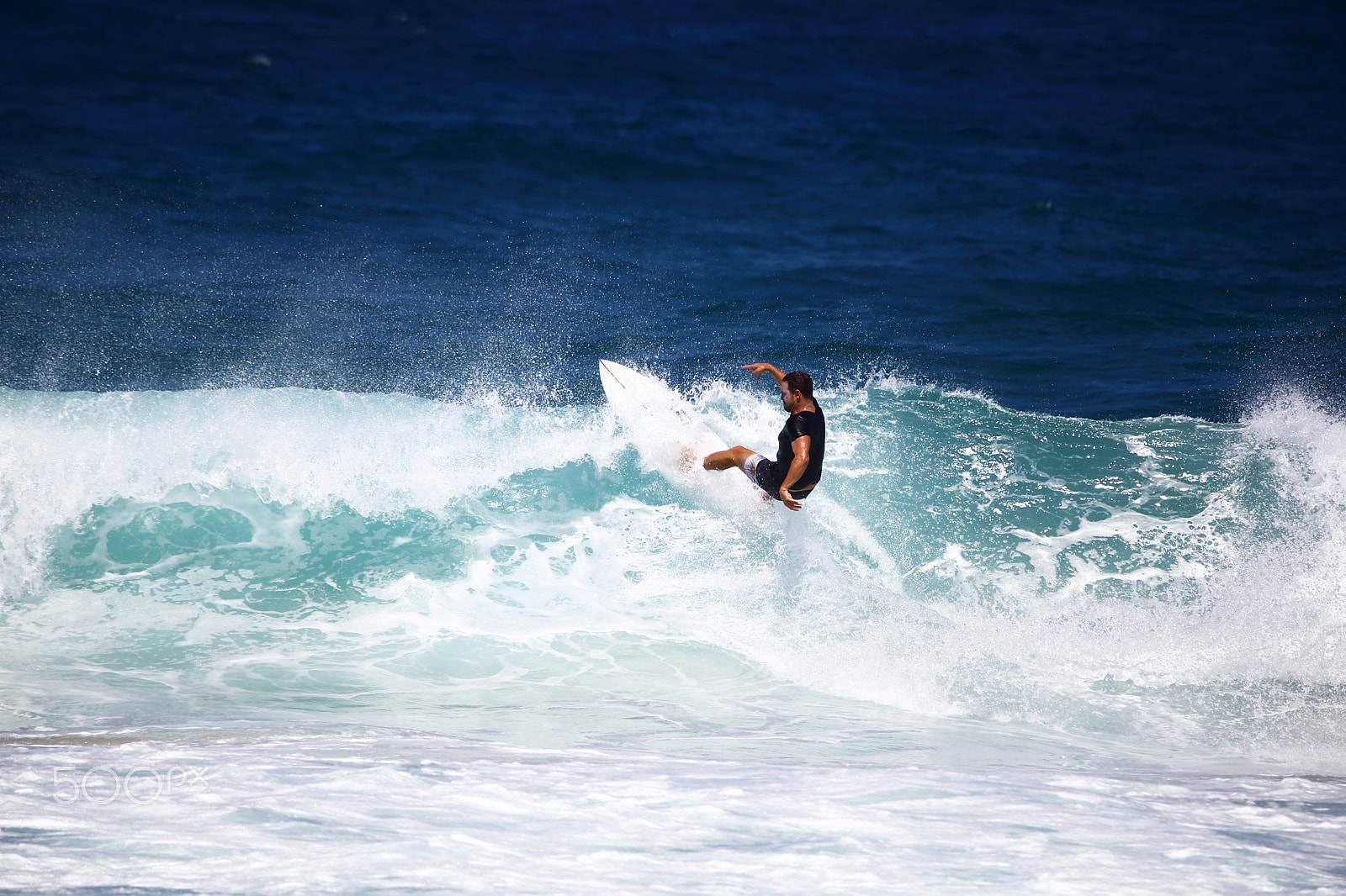 Canon EOS-1D C sample photo. Tamarama surfers photography