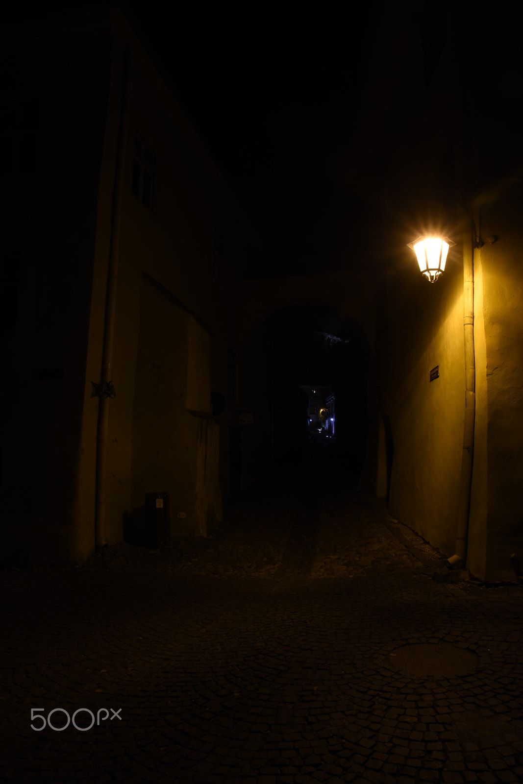 Nikon D7200 sample photo. Light photography
