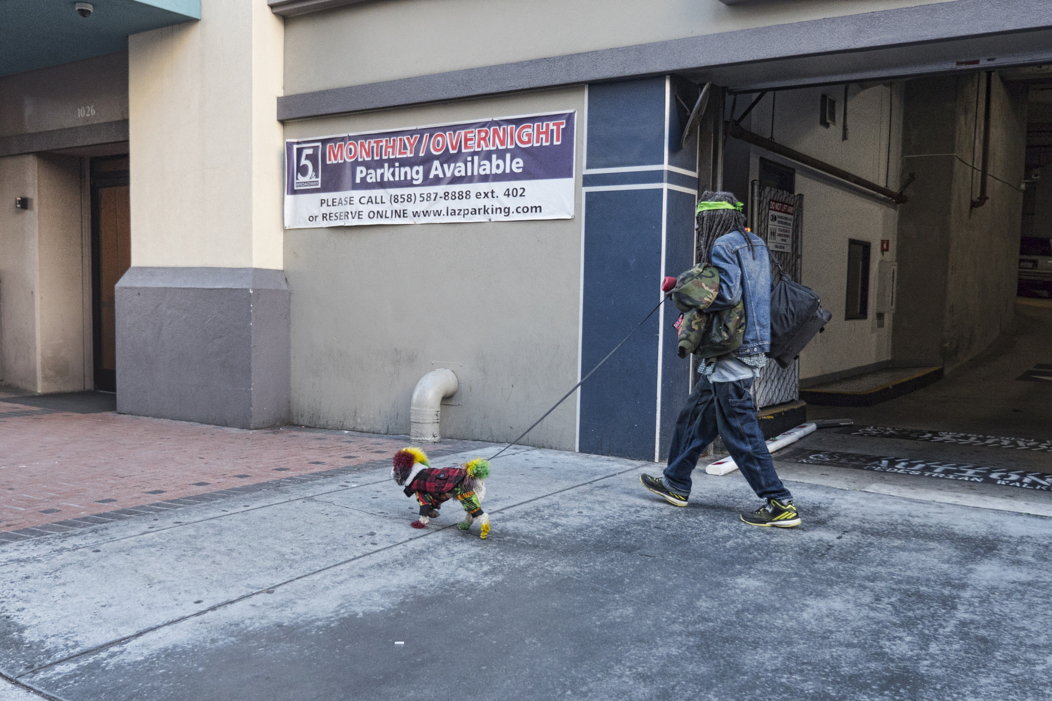 Panasonic Lumix G X Vario 12-35mm F2.8 ASPH Power OIS sample photo. Atomic dog photography