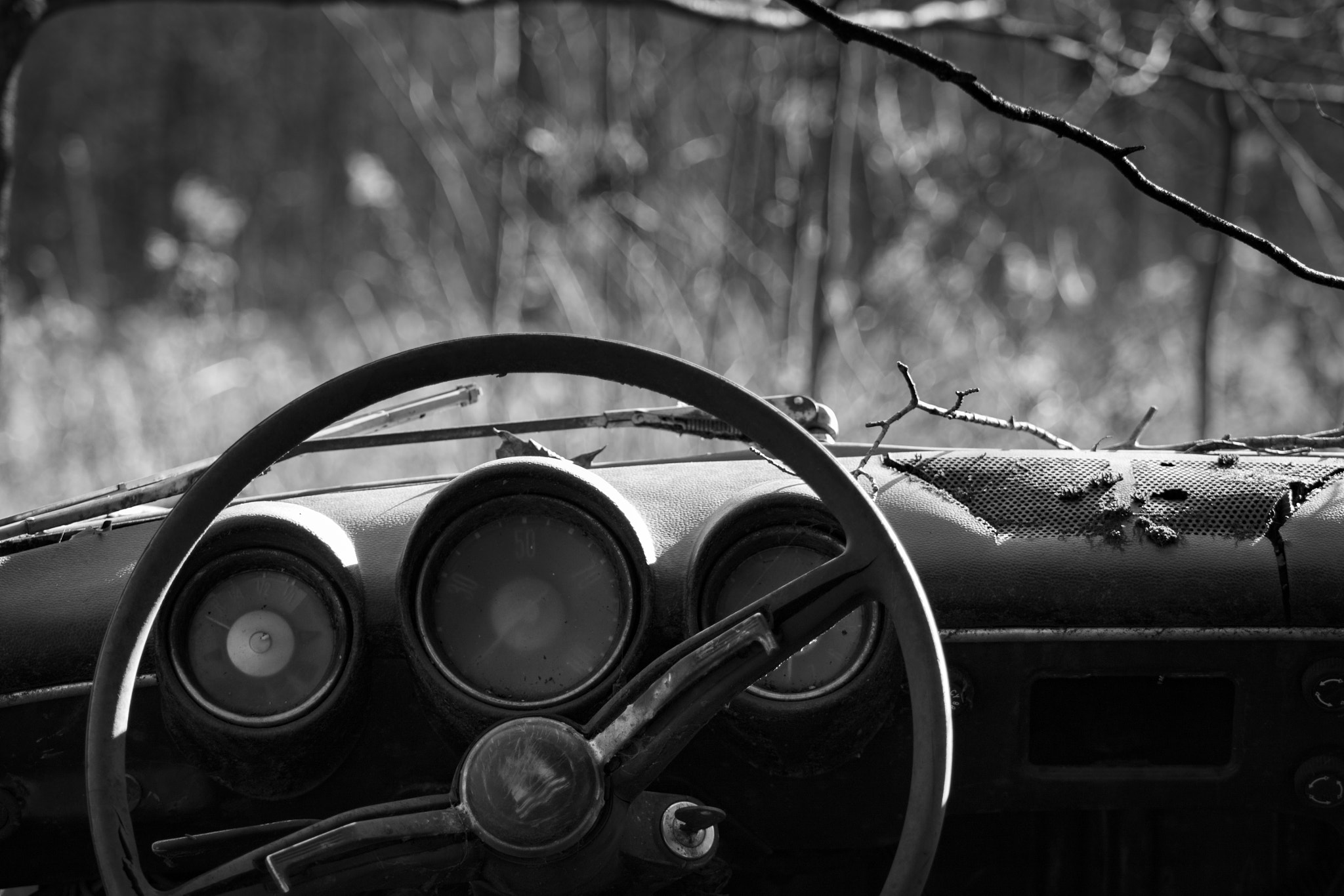 EF75-300mm f/4-5.6 sample photo. Driver's seat photography