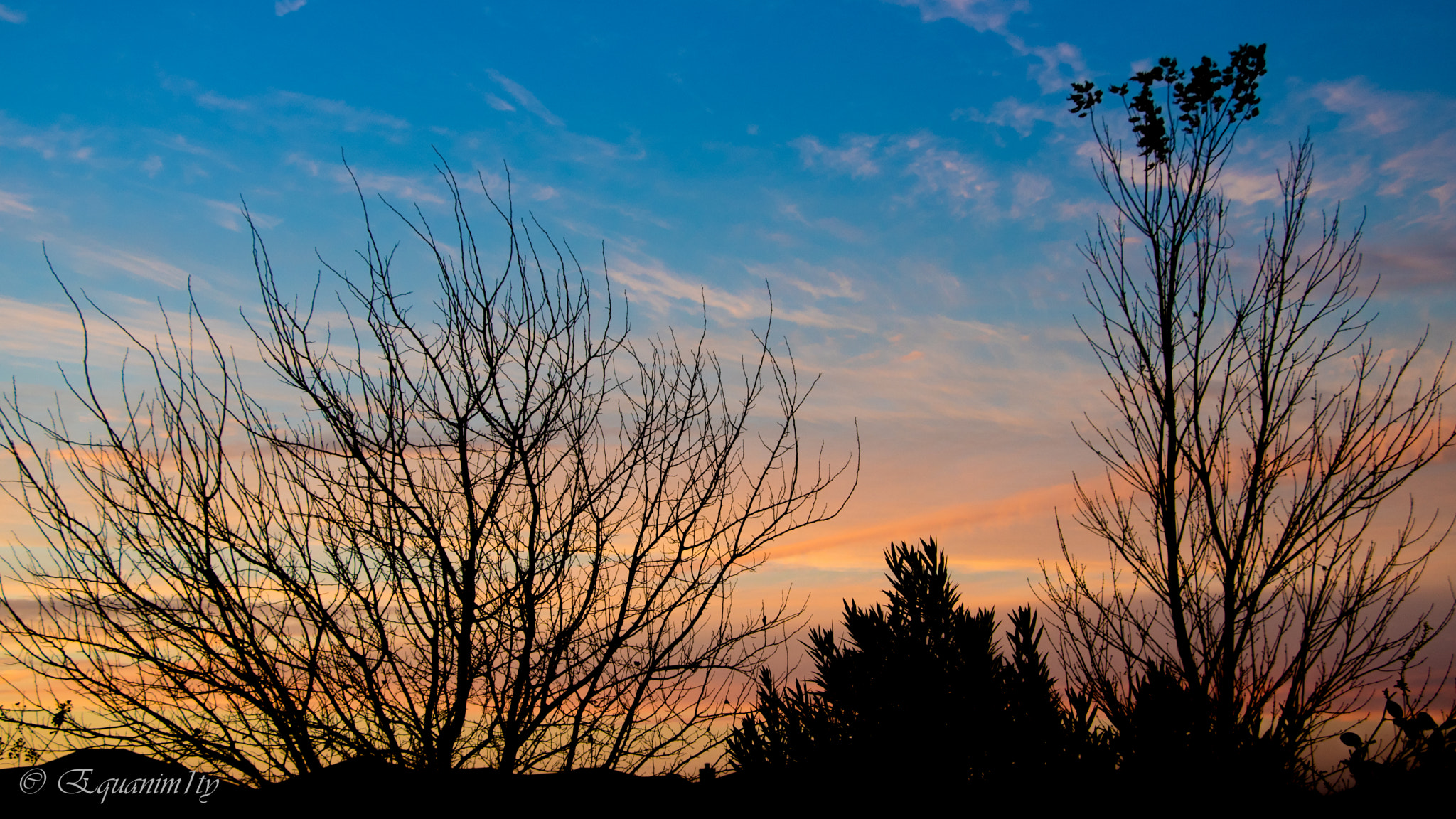 Canon EOS 750D (EOS Rebel T6i / EOS Kiss X8i) sample photo. Colors of dawn sky photography