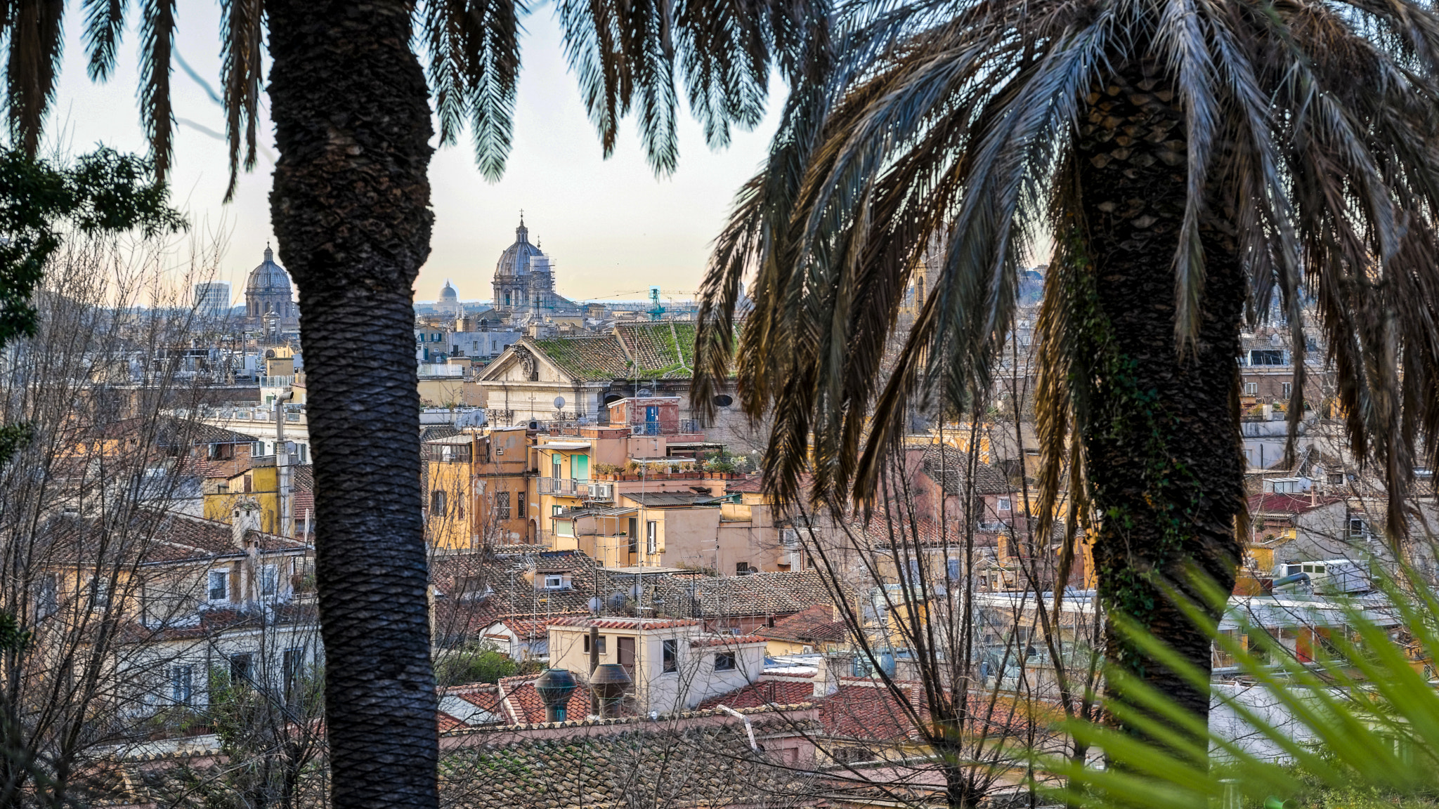 Sigma 105mm F2.8 EX DG OS HSM sample photo. Roma at sunrise # 3 photography