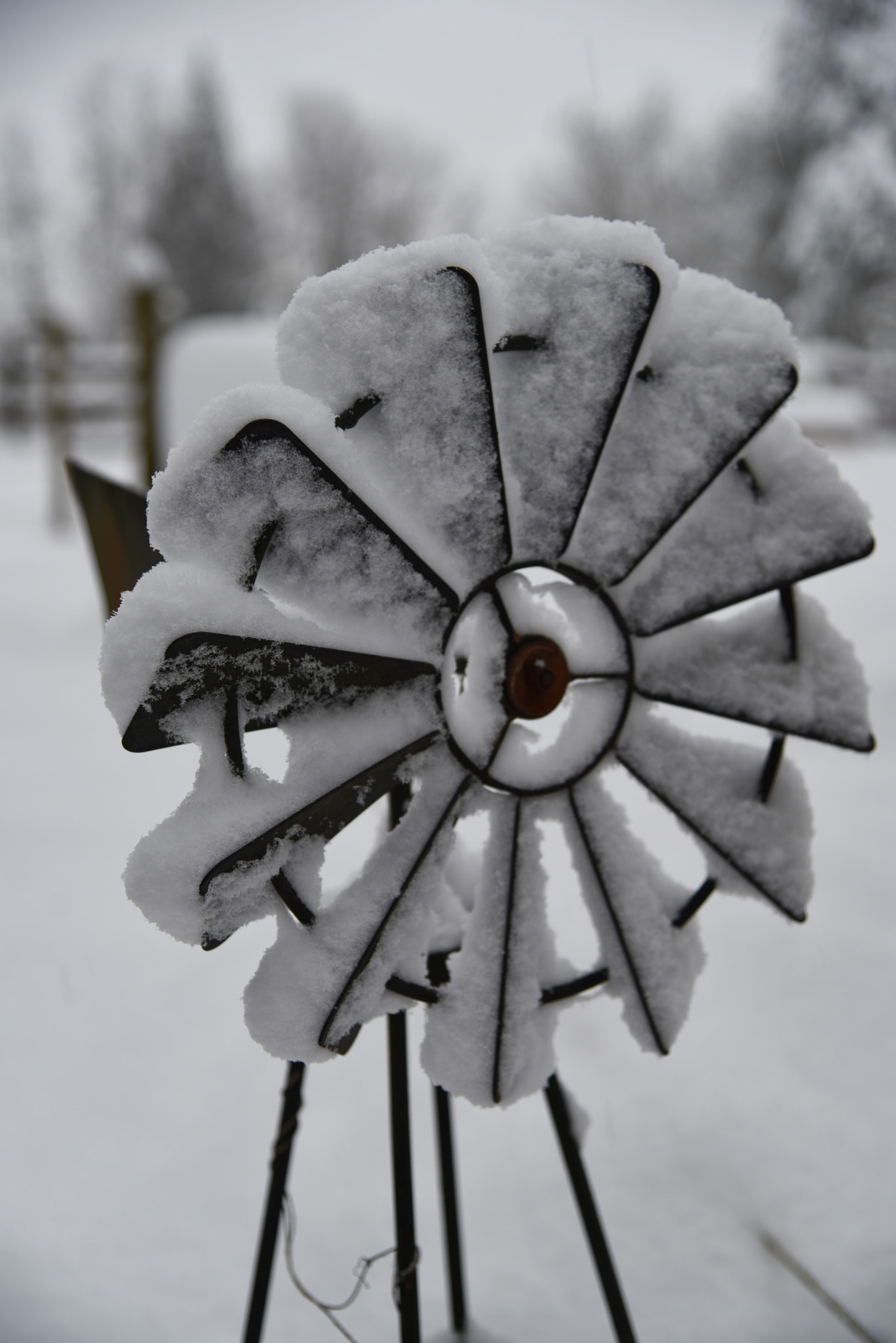 Nikon D750 + Sigma 10mm F2.8 EX DC HSM Diagonal Fisheye sample photo. Snow before the freezing rain photography