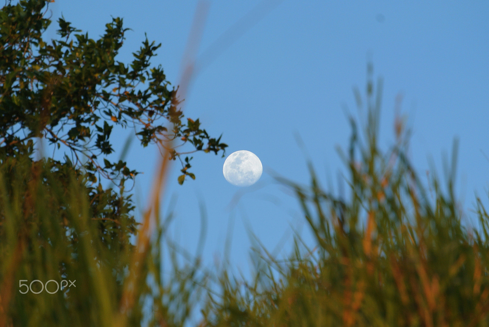 Nikon 1 Nikkor VR 30-110mm F3.8-5.6 sample photo. Moon rise photography