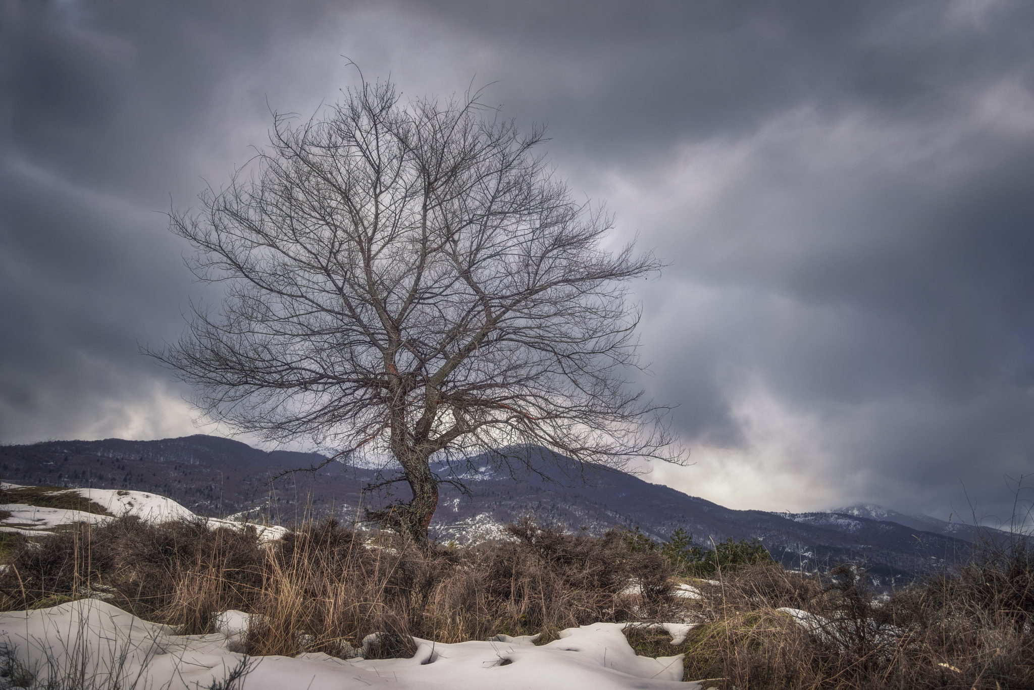 smc PENTAX-F 35-70mm F3.5-4.5 sample photo. Winter end photography