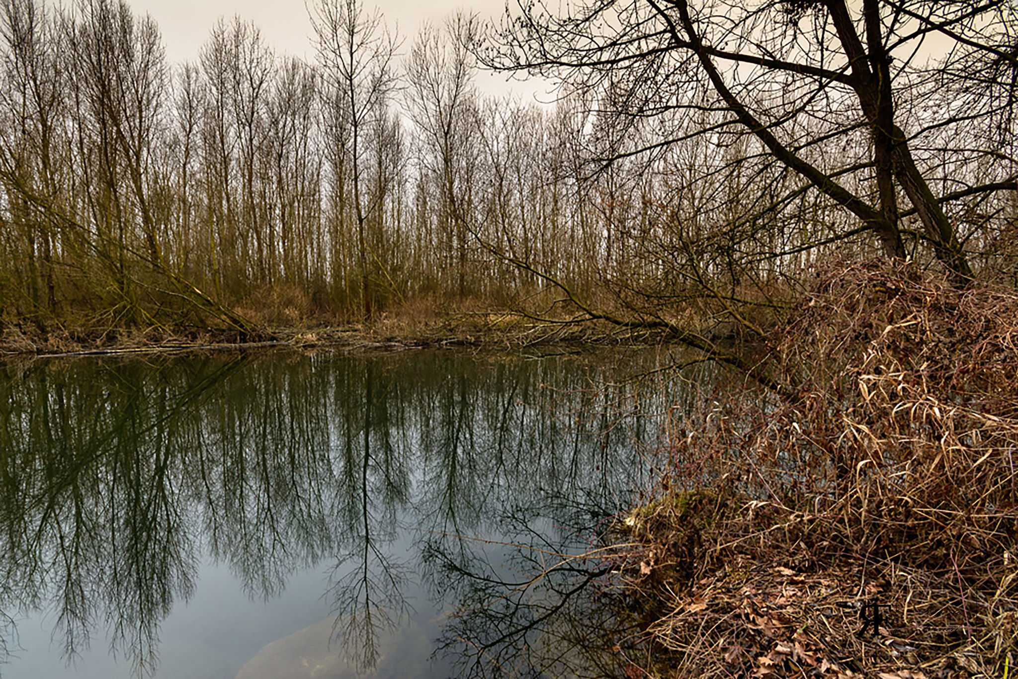 Nikon D5200 sample photo. An angle of the river photography