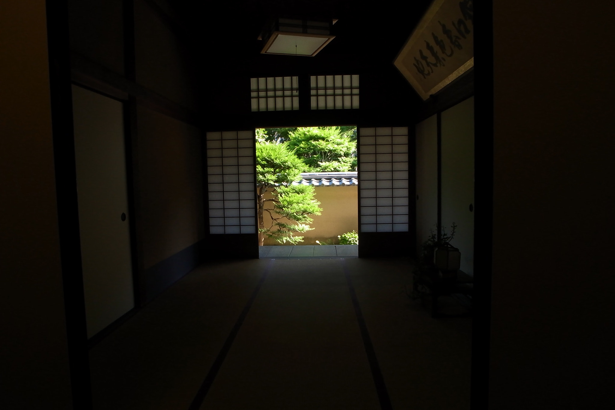 Ricoh GR DIGITAL 3 sample photo. Kyoto japan ryu senju photography