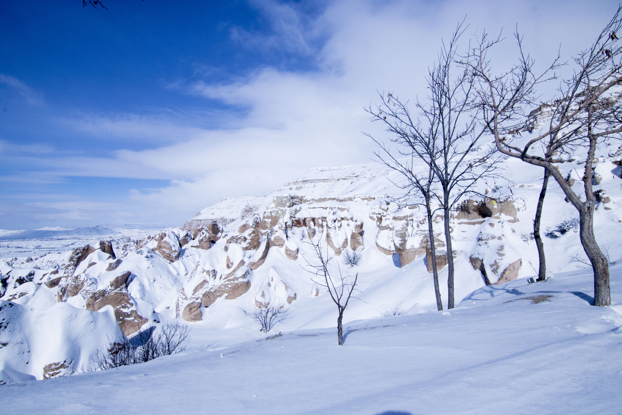 Canon EOS 760D (EOS Rebel T6s / EOS 8000D) sample photo. Snow photography