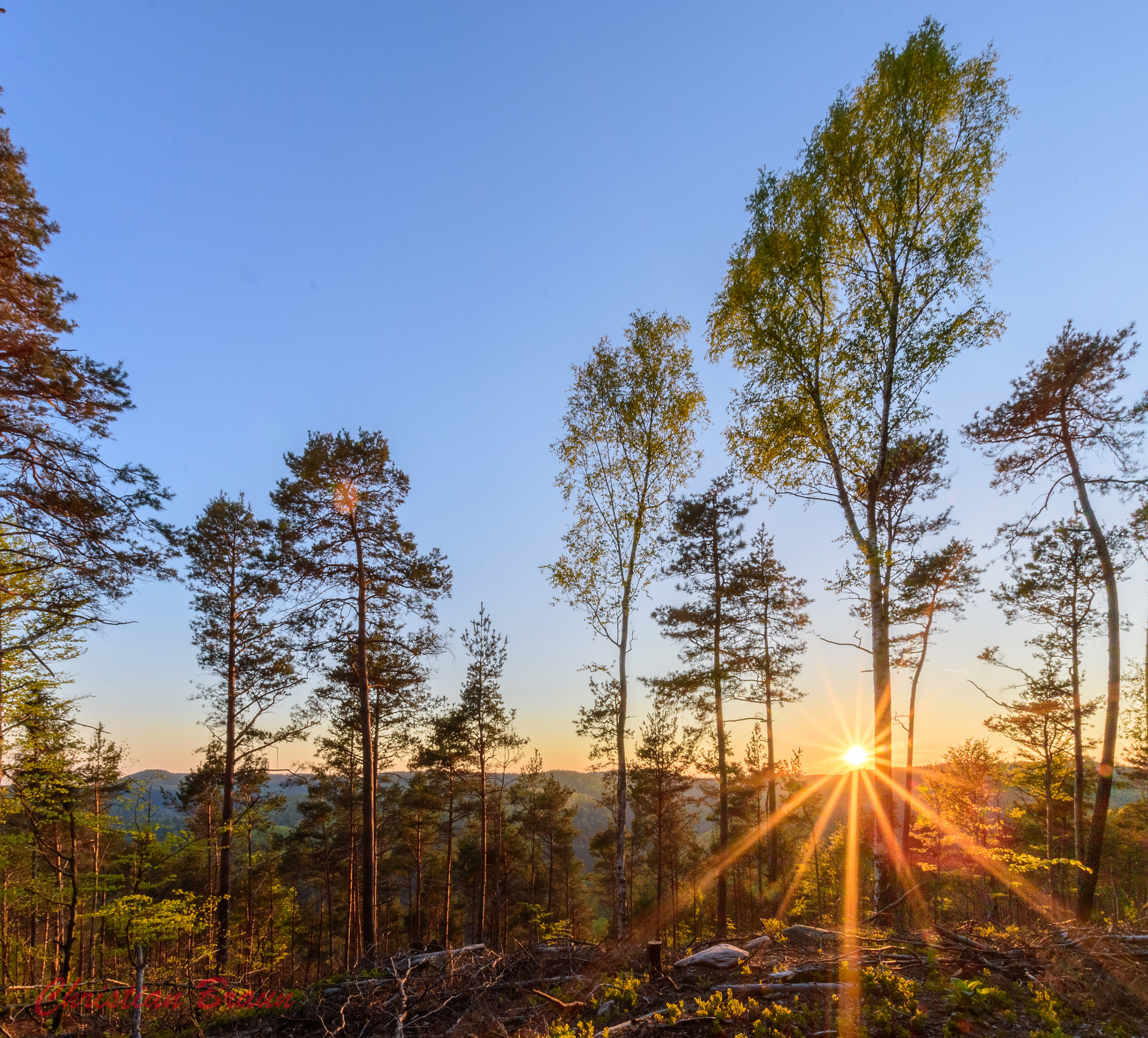 Nikon D5500 sample photo. Pfälzerwald photography