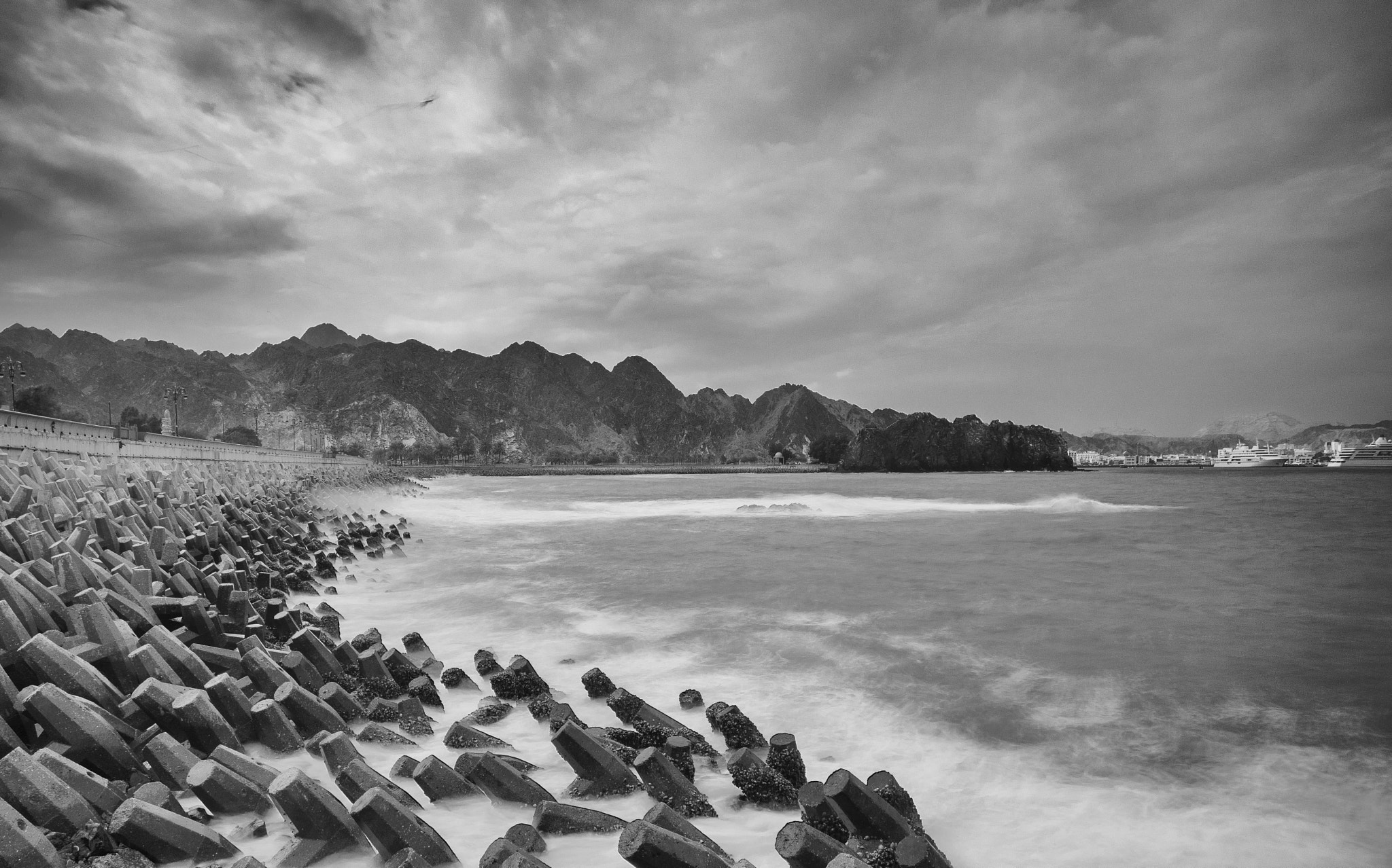 Nikon D500 sample photo