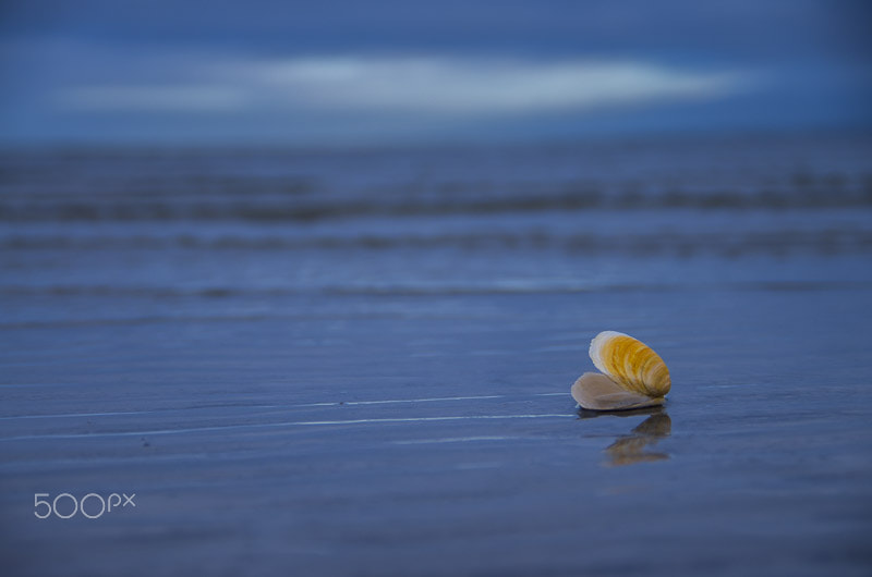 Pentax K-5 II sample photo. Loneliness... photography