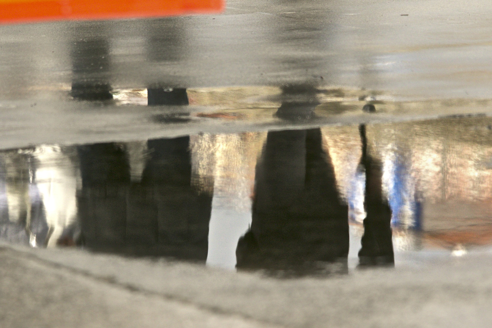 Sigma 150-500mm F5-6.3 DG OS HSM sample photo. Walking a rainy day photography
