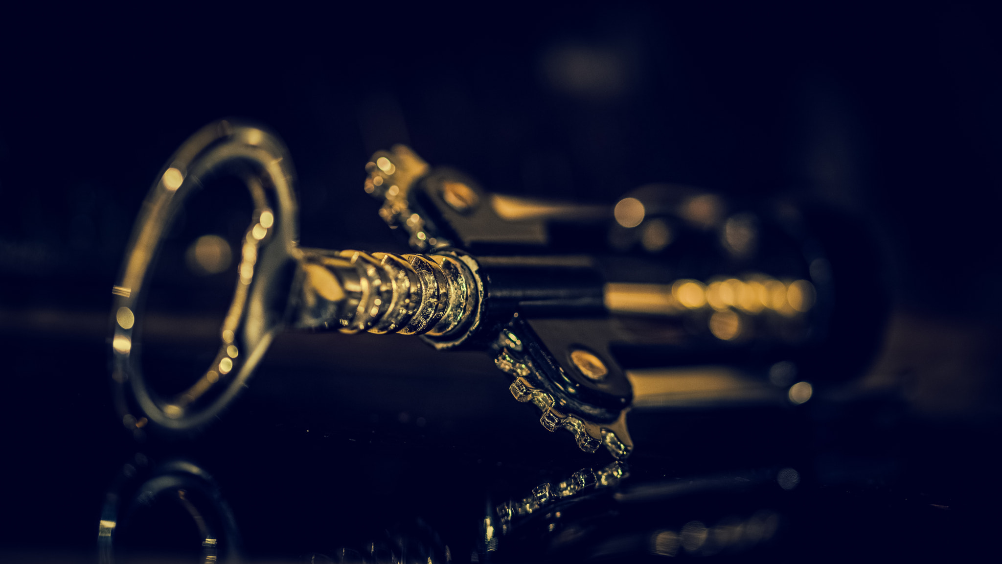 Sigma 105mm F2.8 EX DG OS HSM sample photo. Simple things photography