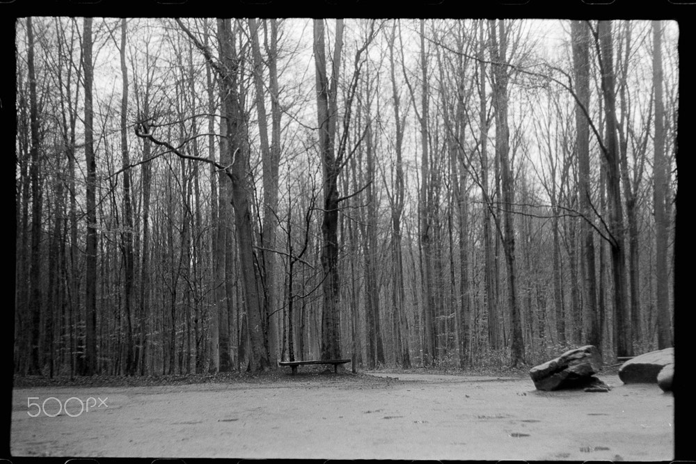 Nikon AF-S DX Micro Nikkor 40mm F2.8 sample photo. Winter park photography