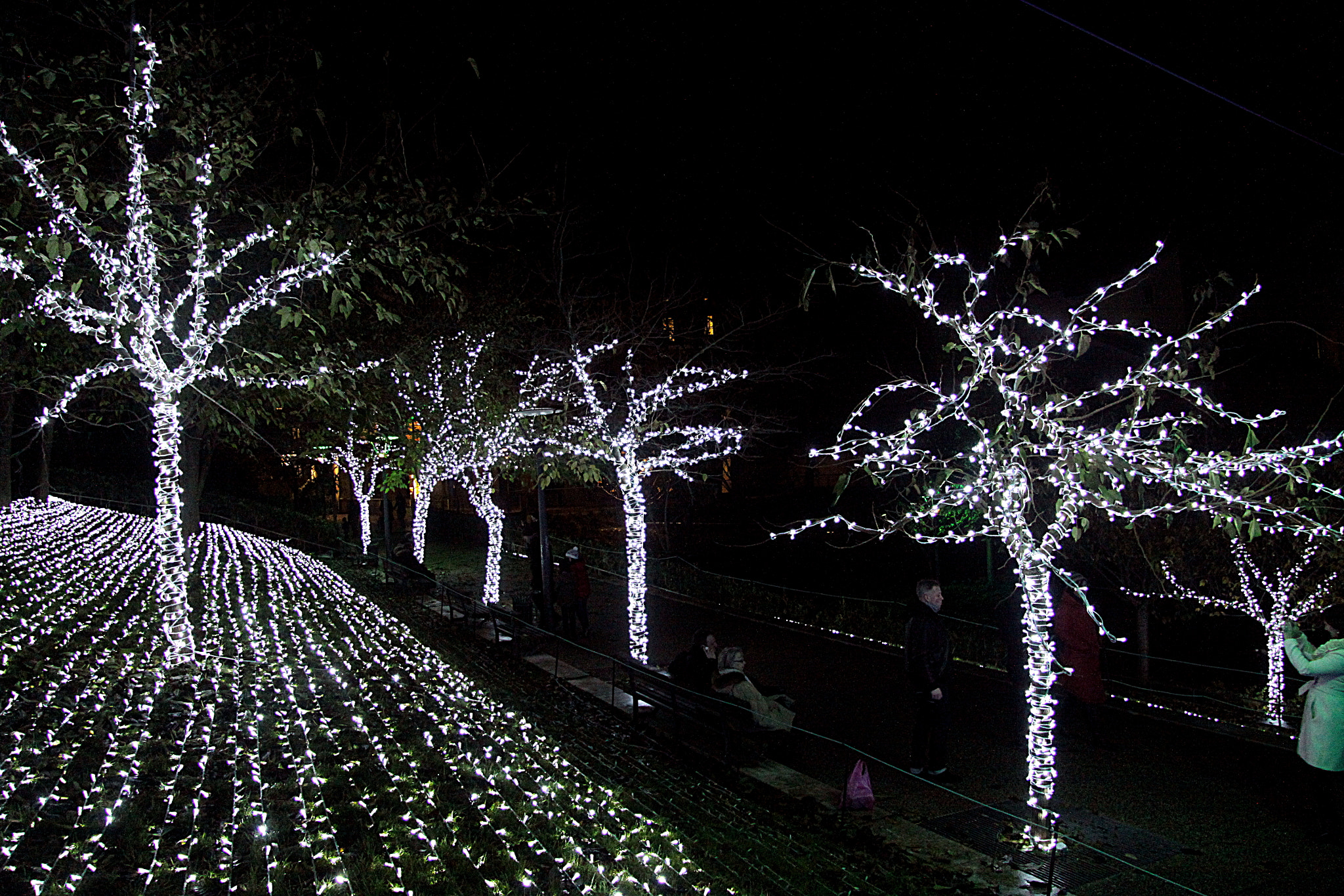 Canon EF-S 17-85mm F4-5.6 IS USM sample photo. Festival of light in lyon photography