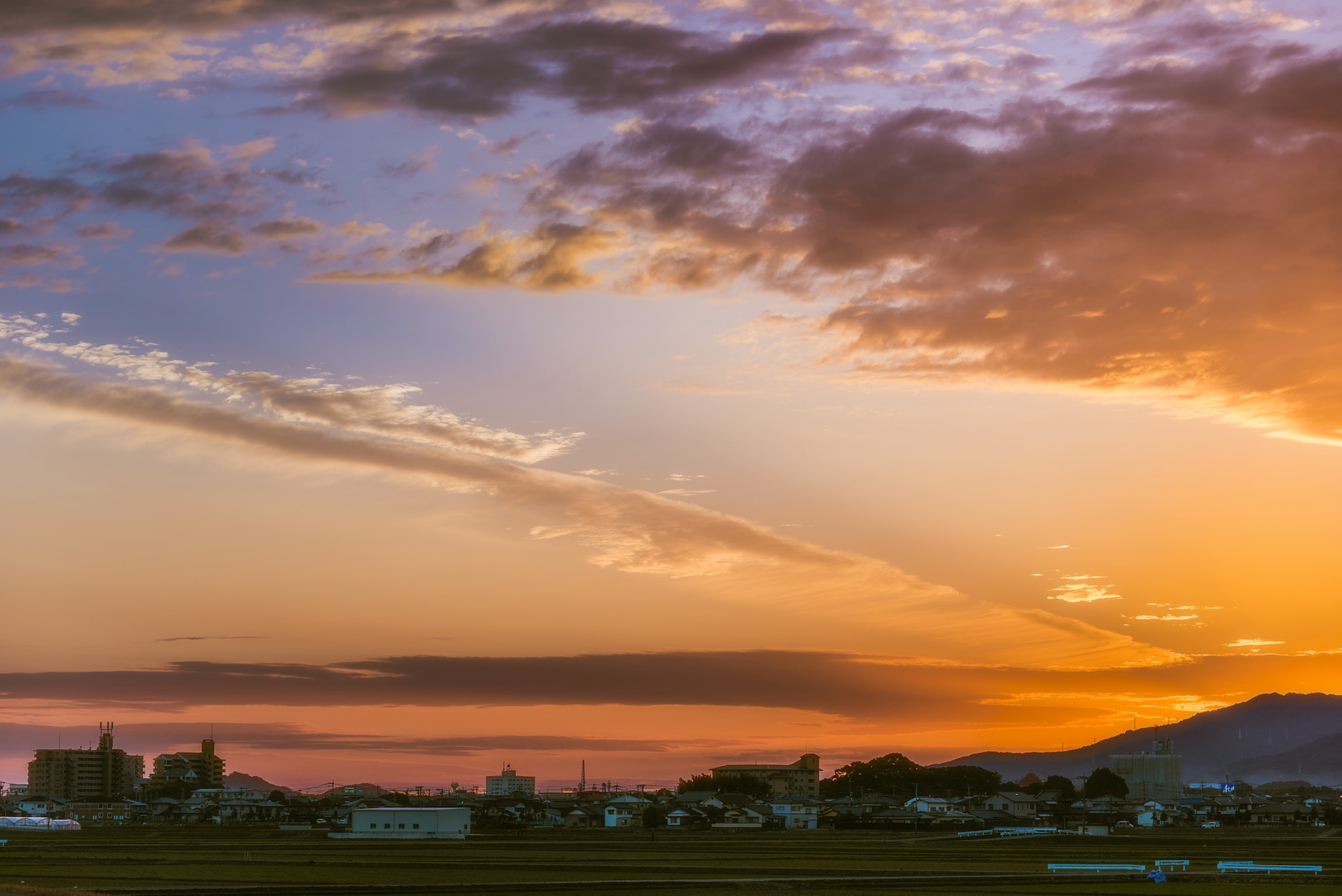 Nikon D810 sample photo. Colors photography