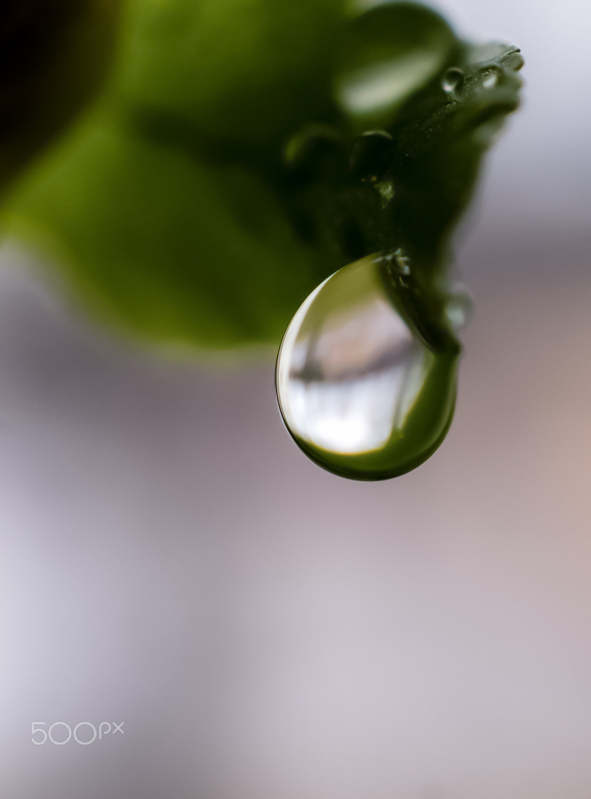 Sony DT 30mm F2.8 Macro SAM sample photo. Drops photography