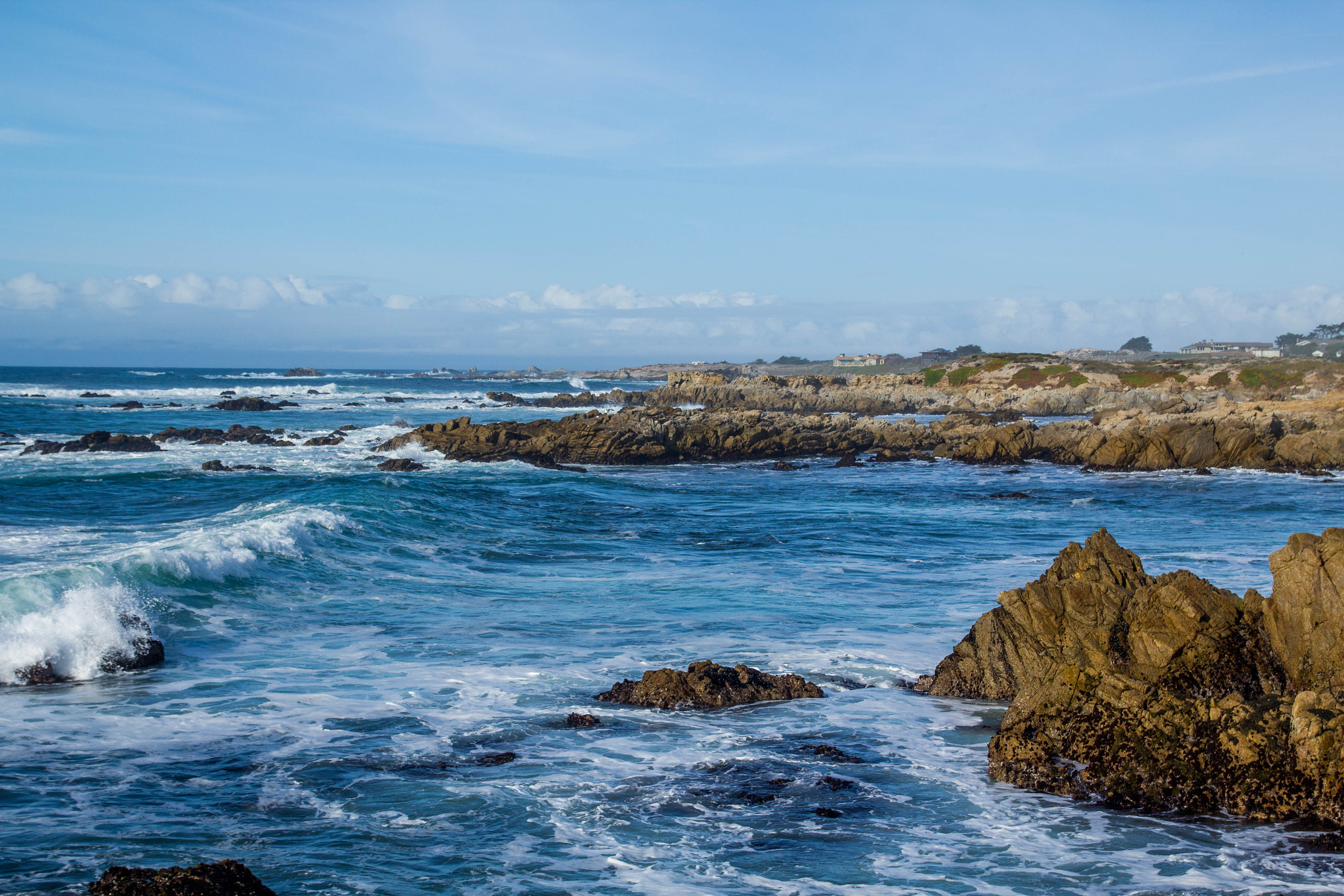 Sigma 18-50mm f/2.8 Macro sample photo. Asilomar photography