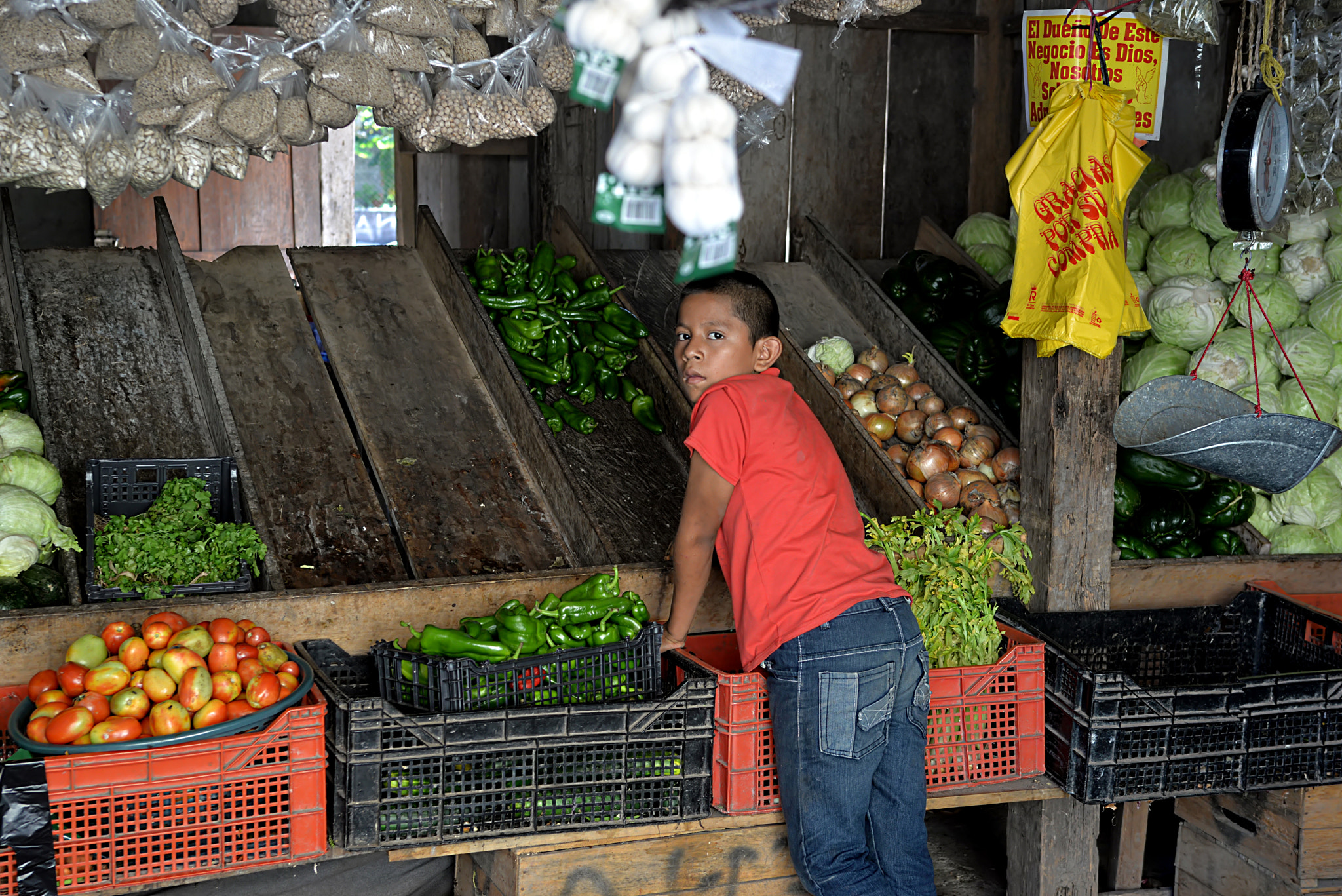 Nikon D610 + Sigma 28-70mm F2.8 EX sample photo. Copan's-people photography