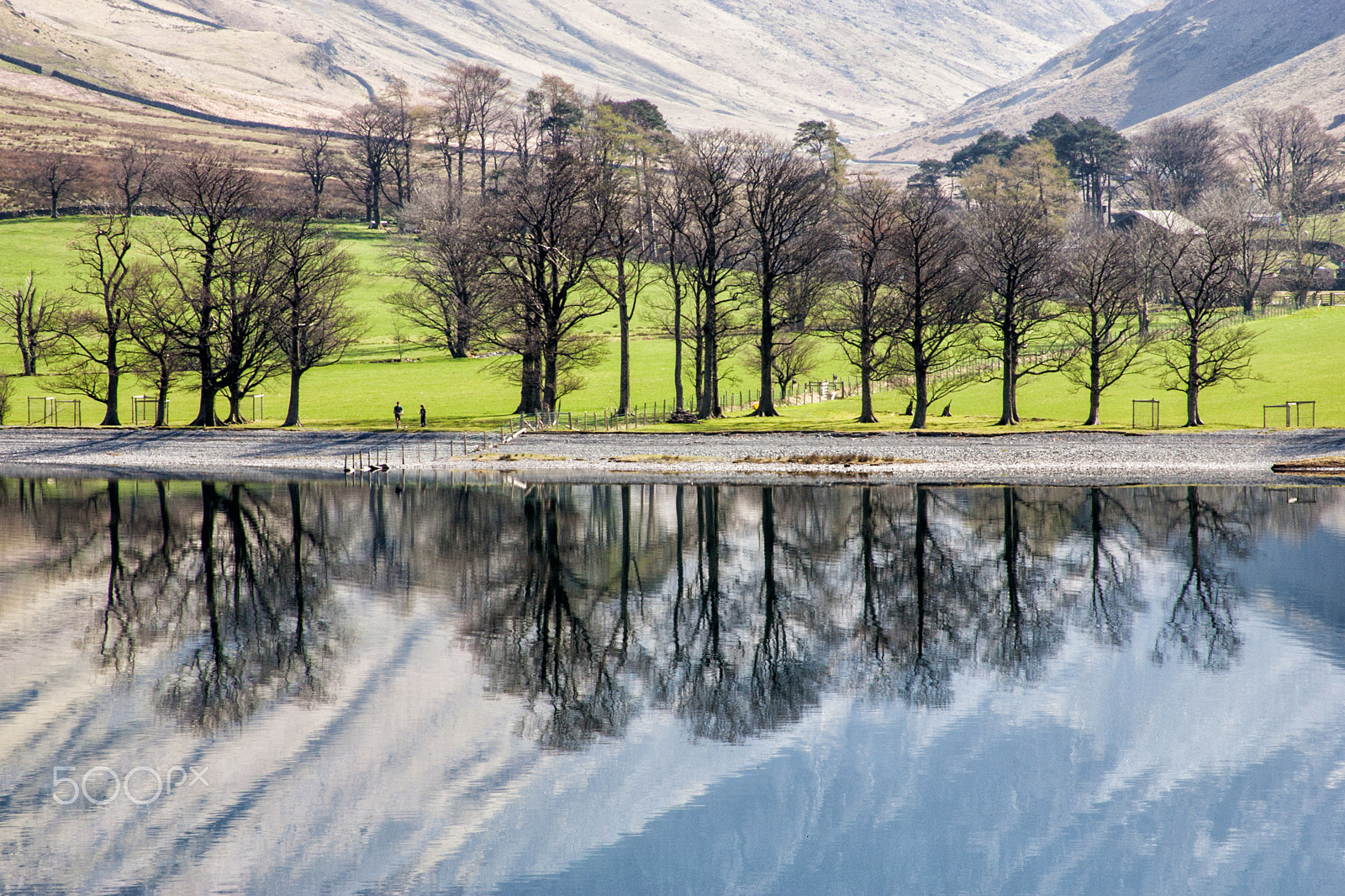 Canon EOS-1D Mark II + Canon EF 28-135mm F3.5-5.6 IS USM sample photo. Buttermere trees reflections photography