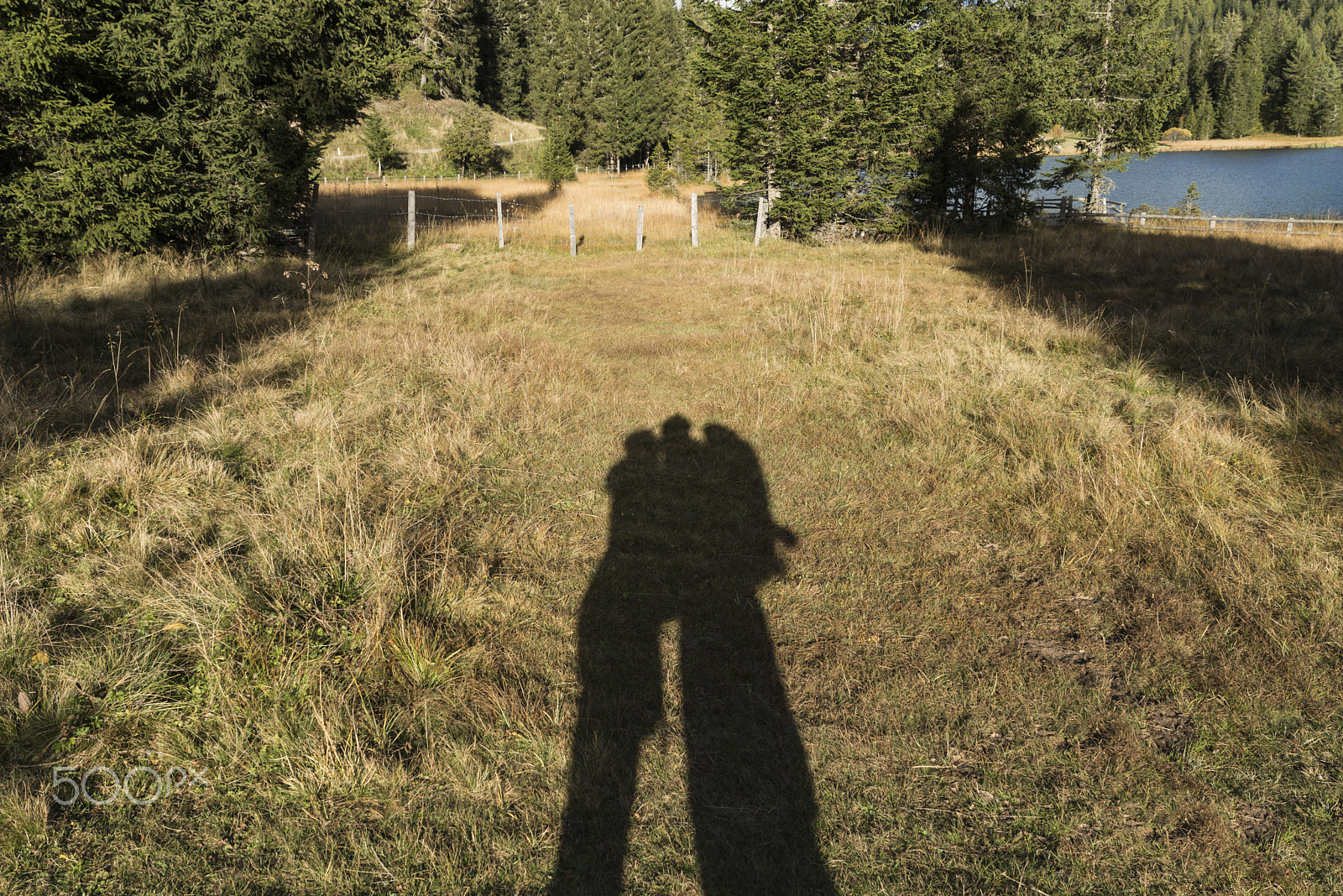Sigma 24-70mm F2.8 EX DG HSM sample photo. Shadow play of lovers photography