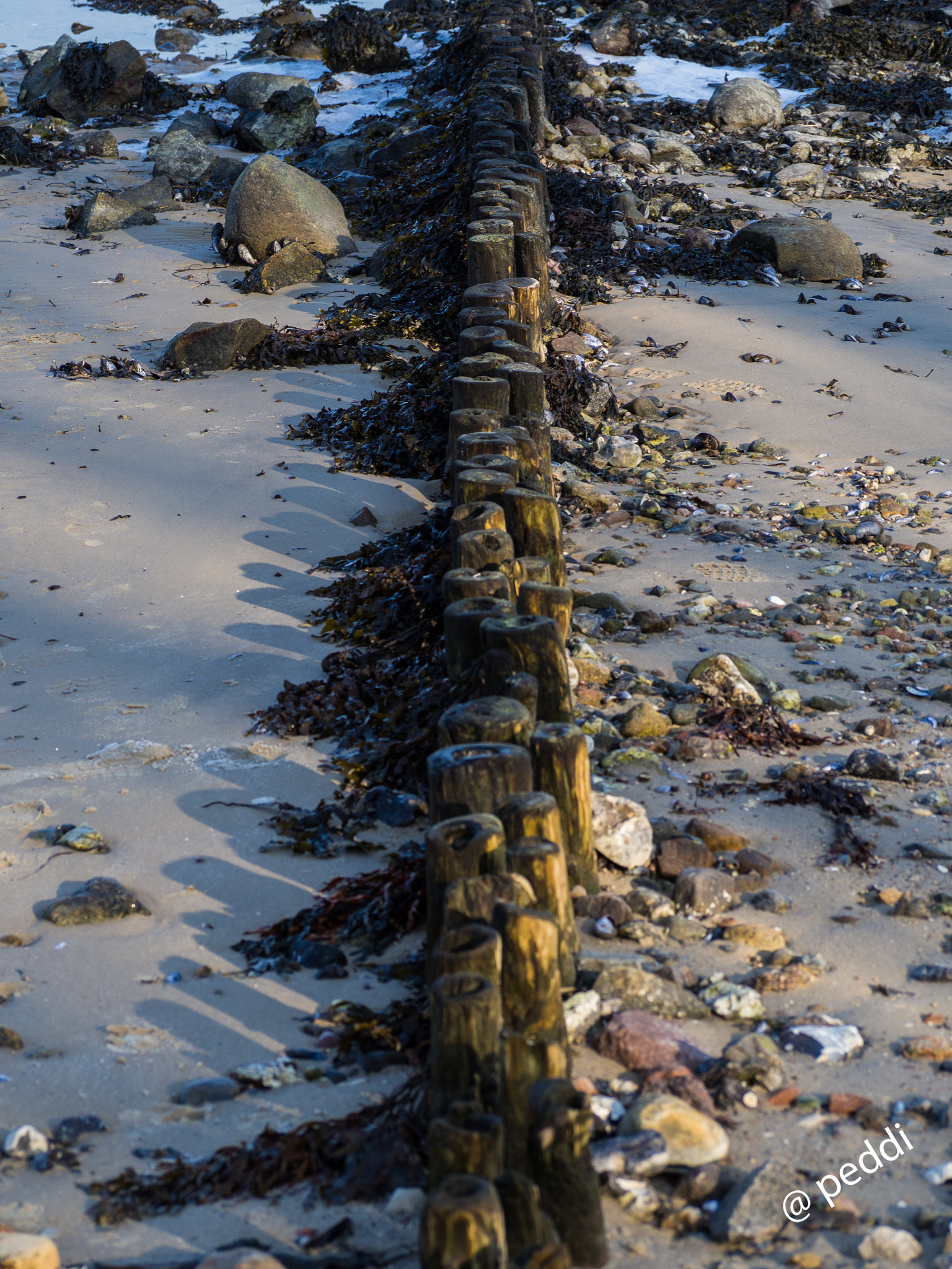 Olympus OM-D E-M10 sample photo. Pfähle am strand photography