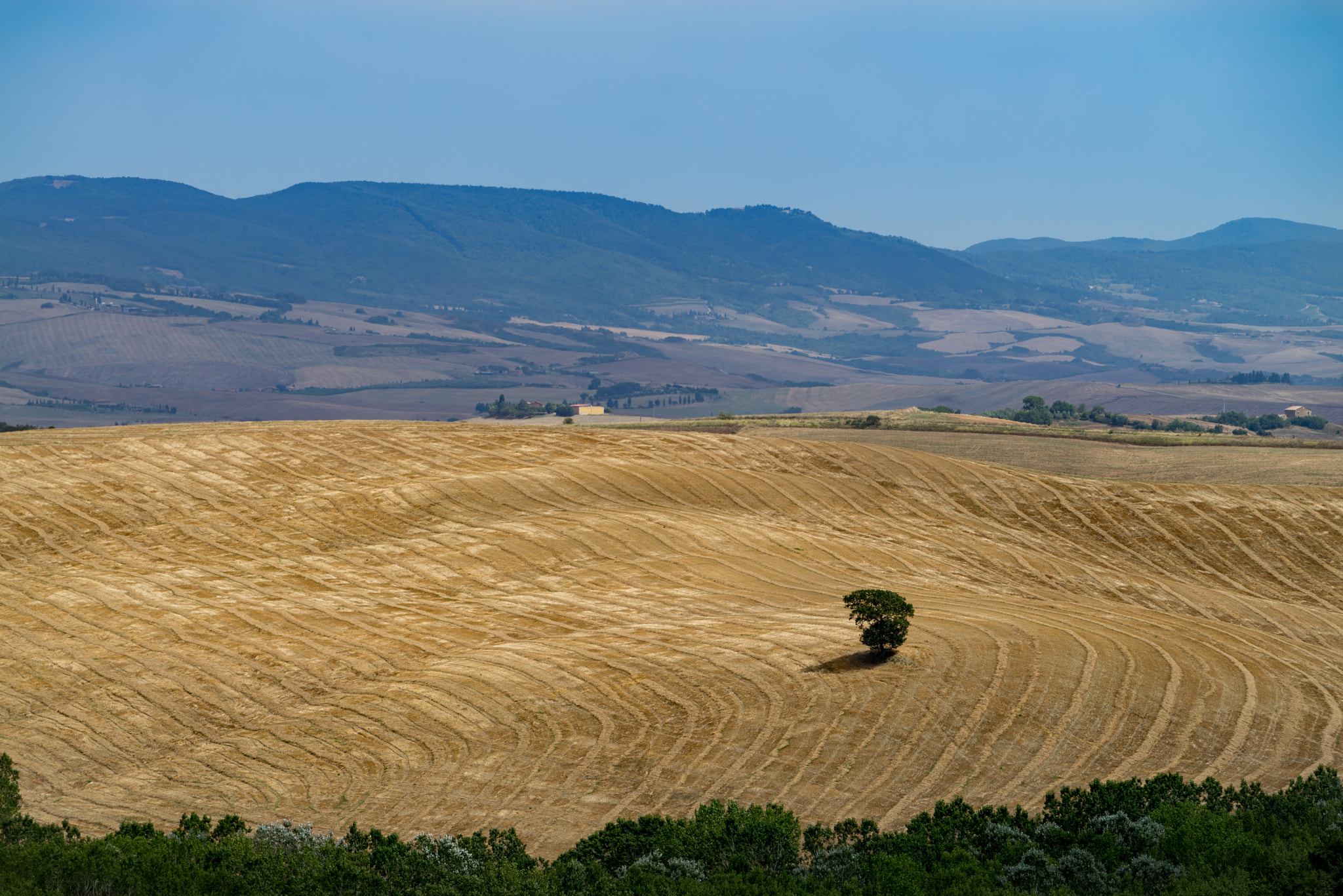 Sony a7R + Sony FE 70-200mm F4 G OSS sample photo. Summer intuscany photography