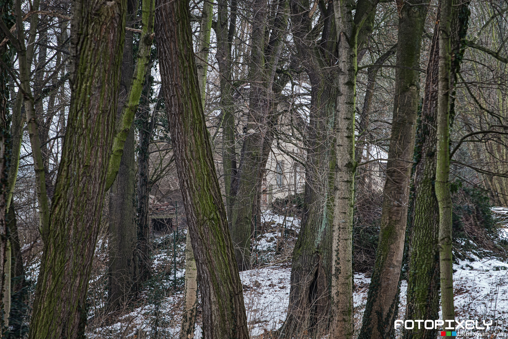 Nikon D600 + Sigma 24-70mm F2.8 EX DG HSM sample photo. Bývalý skautský areál prknovka / former scout area photography