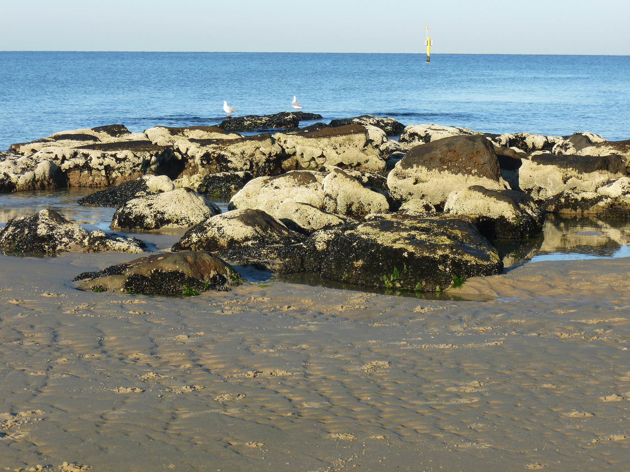 Panasonic DMC-FH25 sample photo. Taken at parkdale beach on early morning walk photography
